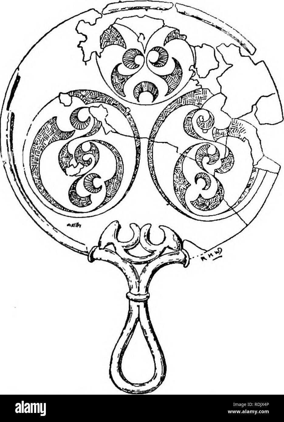 Die Victoria Geschichte Der Grafschaft Devon Natural History