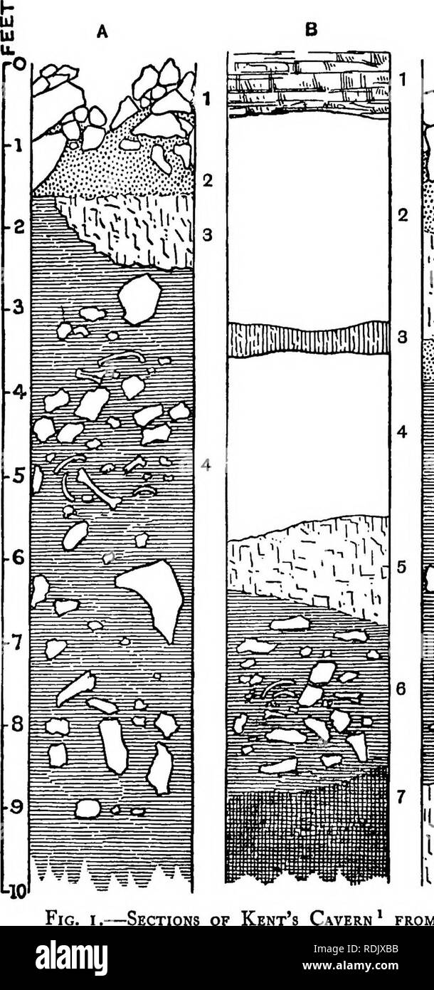 Die Victoria Geschichte Der Grafschaft Devon Natural History