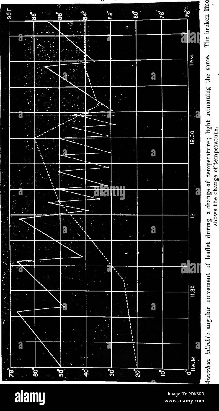 . Die Kraft der Bewegung in Pflanzen. Pflanzen, Botanik. 334 CIECUMNUTATION geändert. Abb. 135. Kap. VII. Bitte beachten Sie, dass diese Bilder sind von der gescannten Seite Bilder, die digital für die Lesbarkeit verbessert haben mögen - Färbung und Aussehen dieser Abbildungen können nicht perfekt dem Original ähneln. extrahiert. Darwin, Charles, 1809-1882; Darwin, Francis, Sir, 1848-1925. New York, Appleton Stockfoto