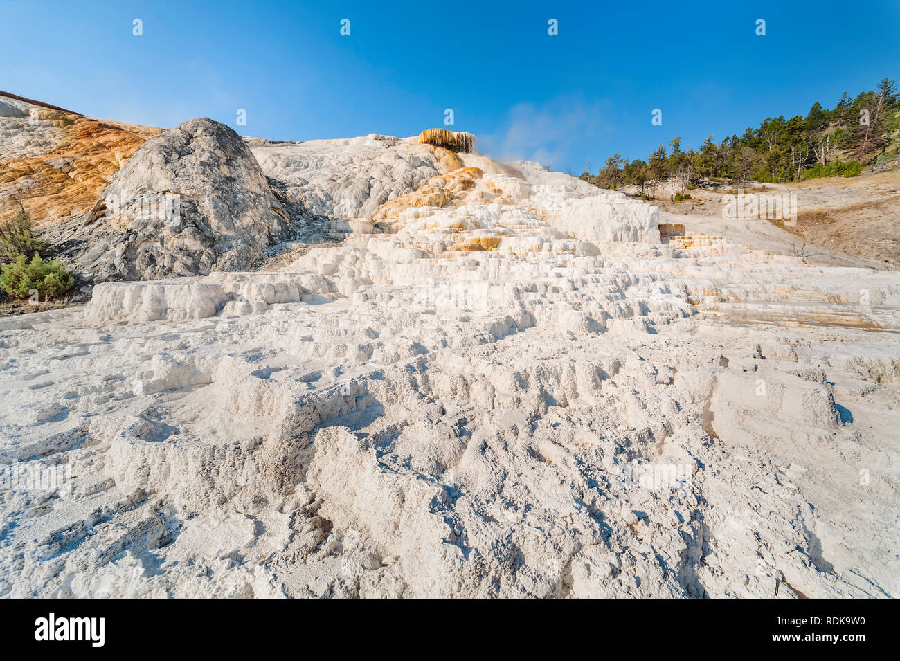 Calciumcarbonat Einlagen von Hot Springs Geyser an einem schönen Sommermorgen in der Nähe von Mammoth, Wyoming, USA. Stockfoto