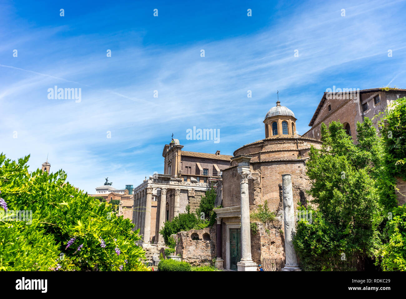 Rom, Italien, 24. Juni 2018: Die antiken Ruinen des Forum Romanum, Palatin in Rom Stockfoto