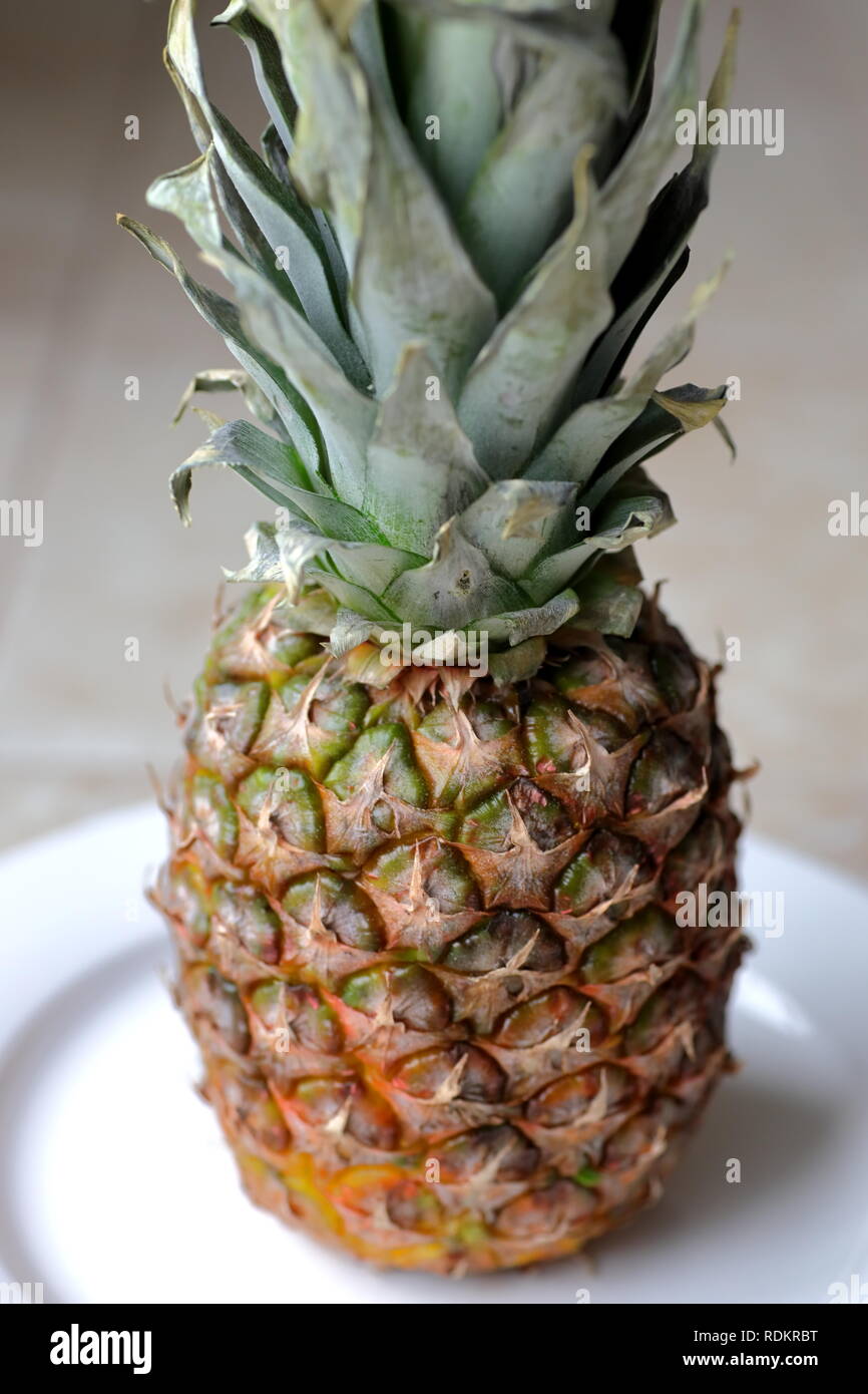 Ananas weißer Teller einzige Frucht leckere Sommer Frühling Stockfoto