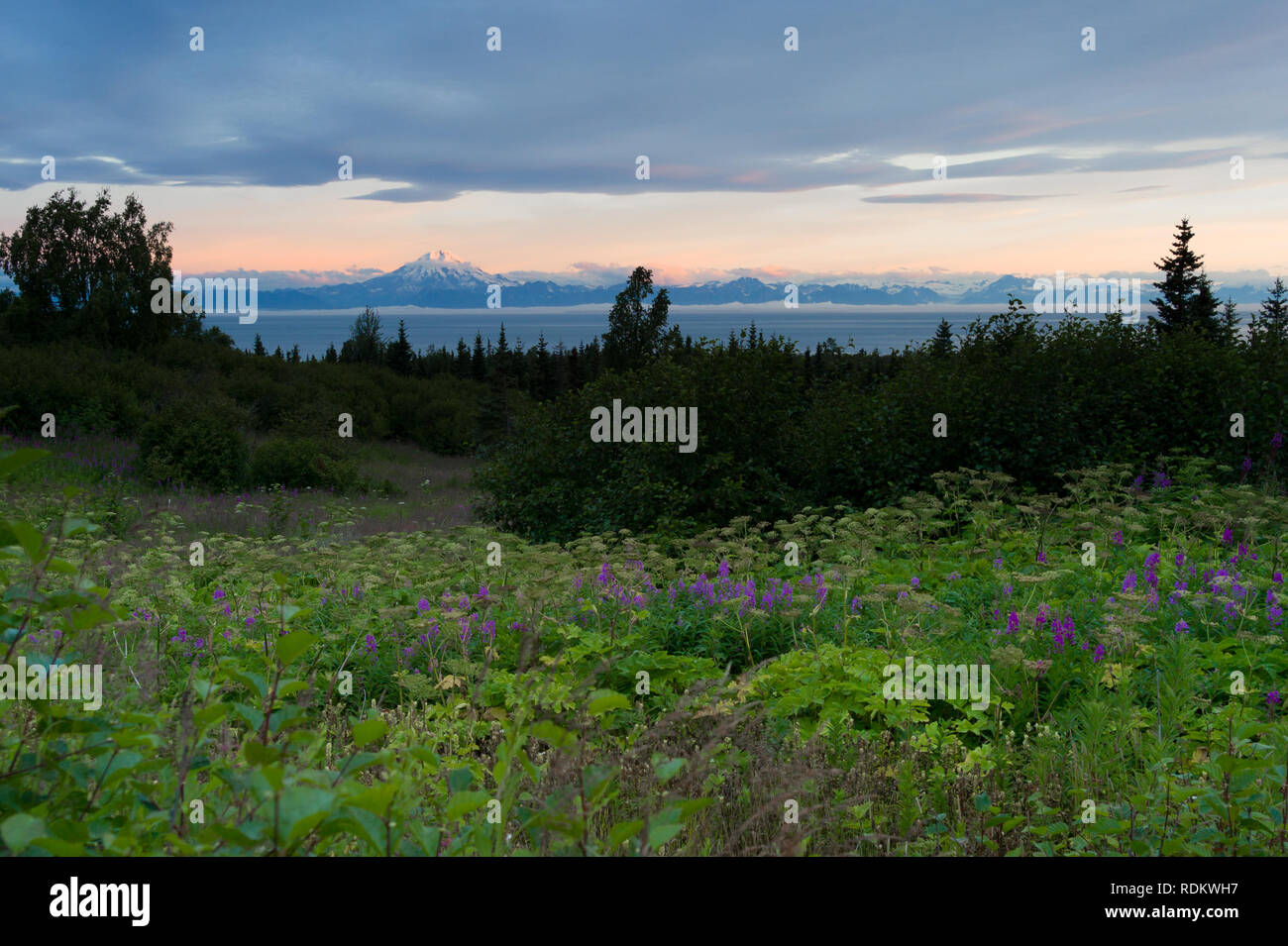 Cook Inlet und die Berge, einschließlich Redoubt Volcano, schöne Landschaft von der Kenai Halbinsel in Alaska. Stockfoto