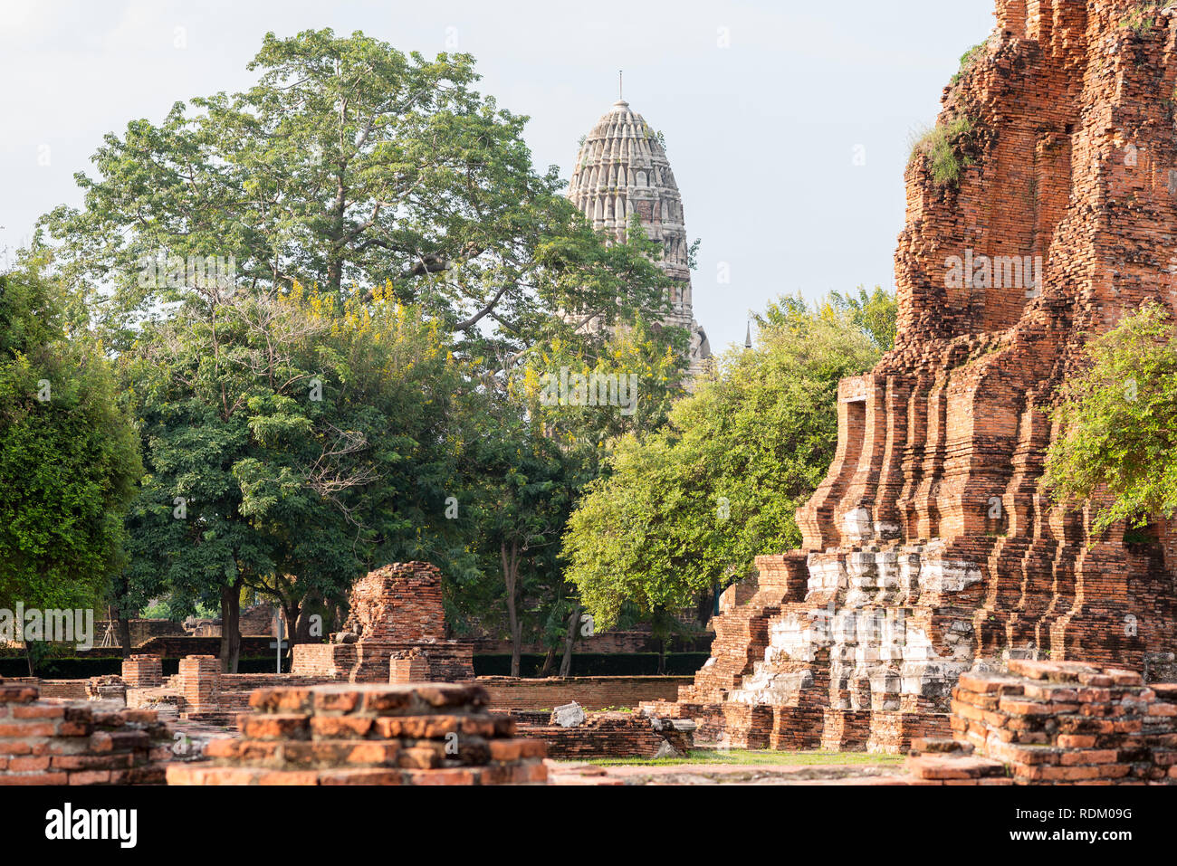 Brick Ruinen einer alten buddhistischen Tempel Wat Phra Mahathat (mahatat) und einer zentralen Prang (Turm hinter einem großen Baum) von Wat Ratburana in Ayutthaya Stockfoto