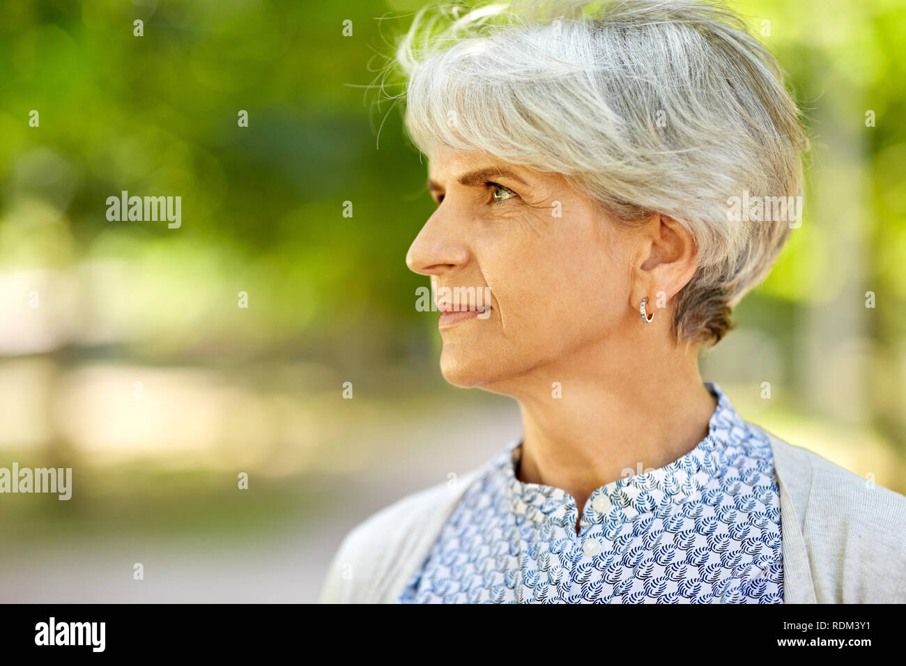 Portrait der älteren Frau an Sommer Park Stockfoto