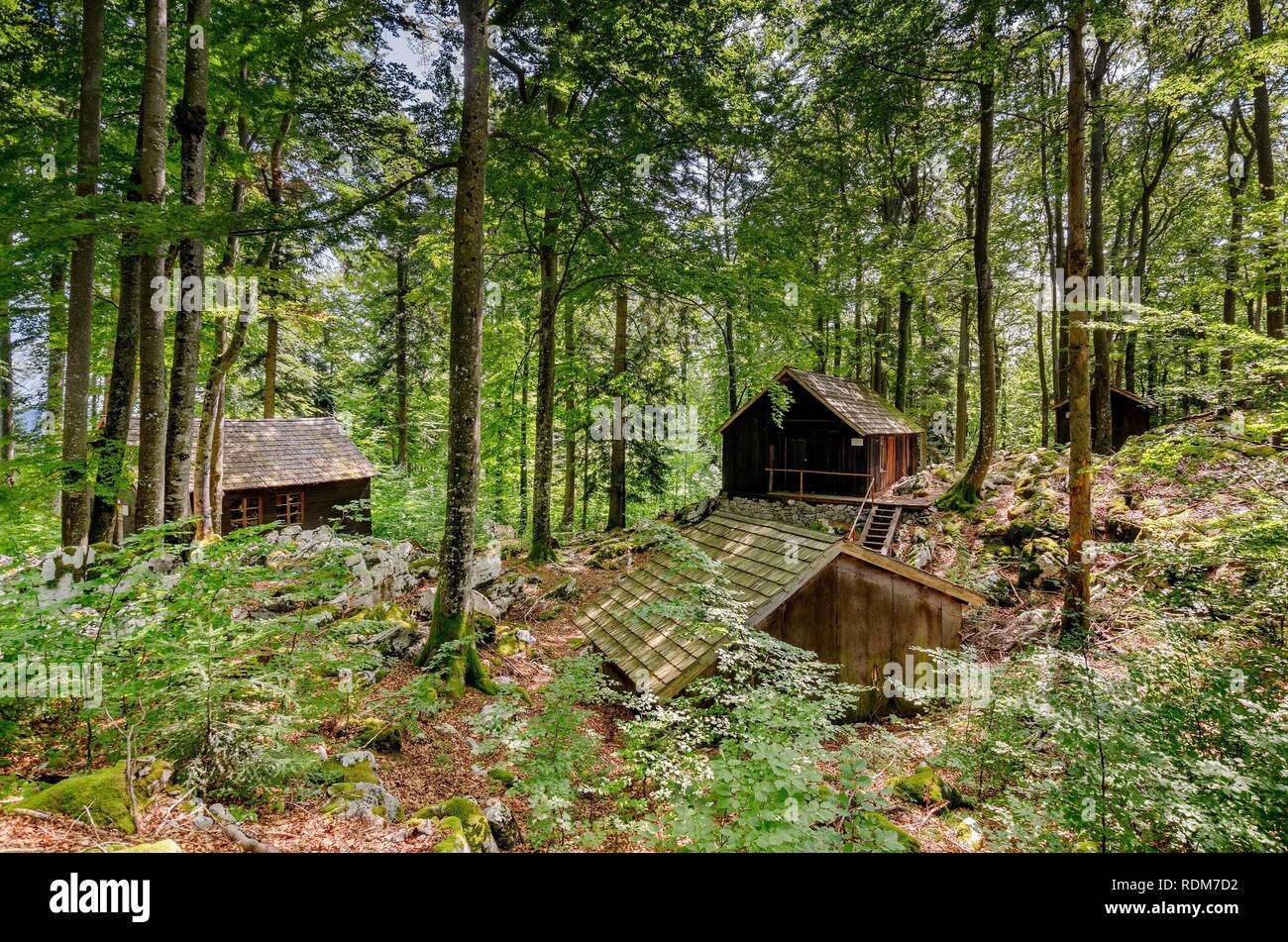 Base20 auf Kočevski Rog, geheime IIWW Hauptsitz der Widerstandsbewegung, Bela Krajina (Weiß Krain) Region, Slowenien, Europa. Stockfoto