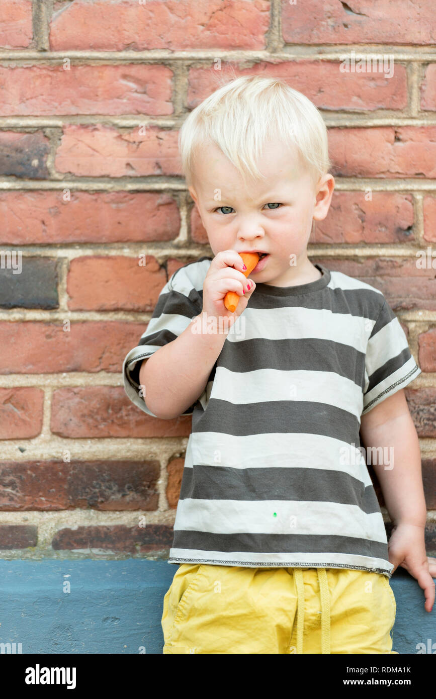 Junge Karotten essen Stockfoto