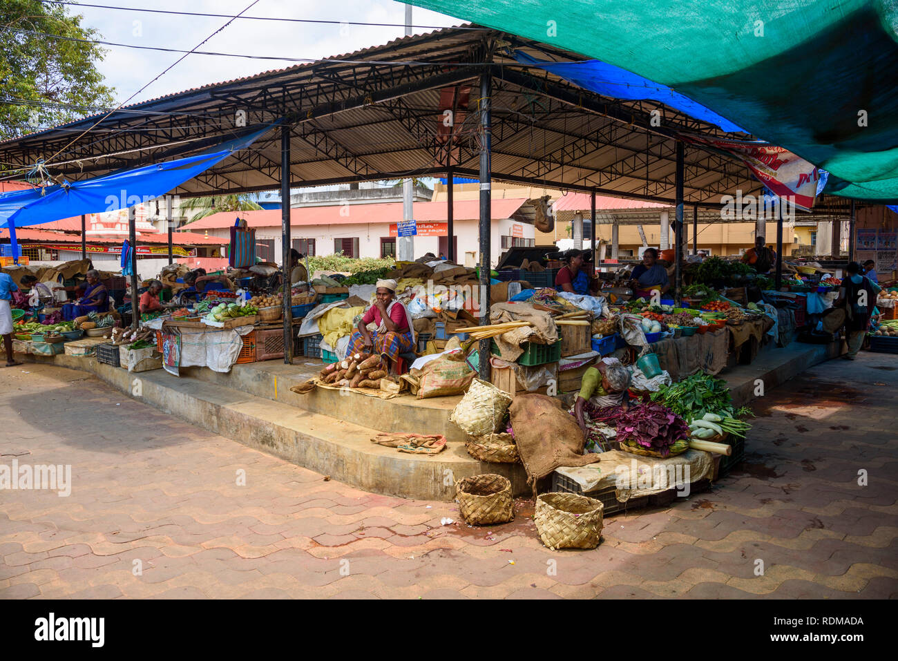 Obst und Gemüse Markt, Markt Conemara, Trivandrum, Kerala, Indien Stockfoto