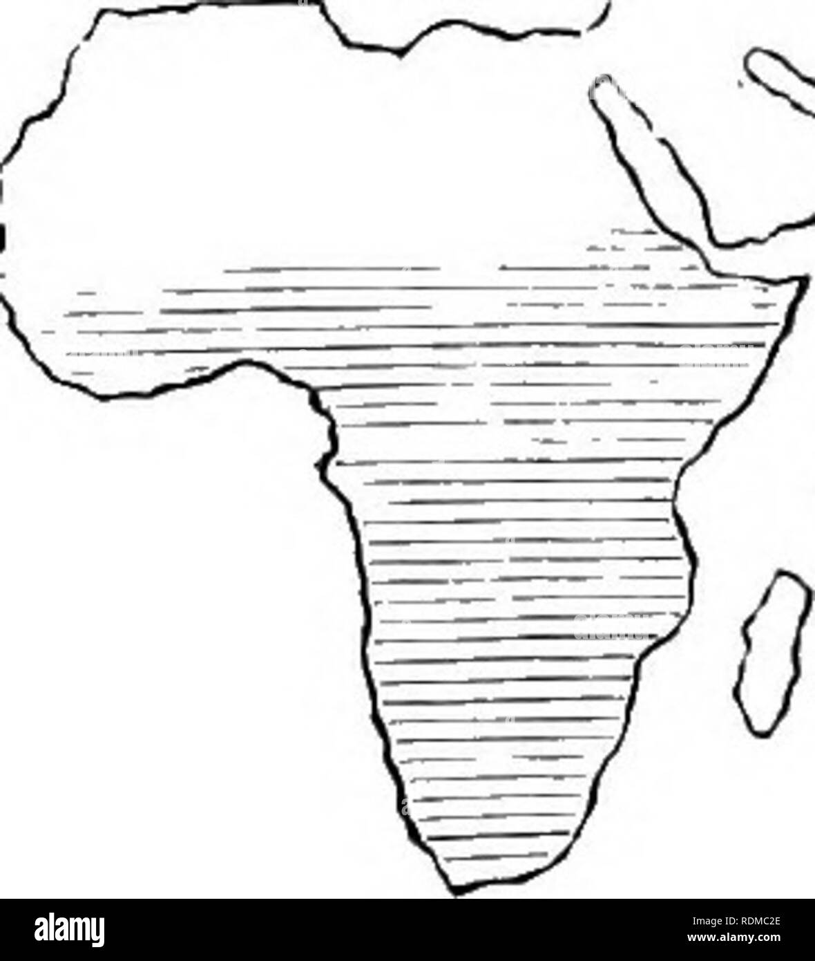 . Die Cambridge Natural History. Zoologie. IIIPIPA XENOPUS. Abb. 28.- Karte der Verteilung der Aglossa. llyimnochirus im äquatorialen Afrika hinzugefügt werden.. Bitte beachten Sie, dass diese Bilder sind von der gescannten Seite Bilder, die digital für die Lesbarkeit verbessert haben mögen - Färbung und Aussehen dieser Abbildungen können nicht perfekt dem Original ähneln. extrahiert. Harmer, S.F. (Sidney Frederic), Sir, 1862-ed; Shipley, A.E. (Arthur Everett), Sir, 1861-1927. Hrsg. [London, Macmillan und Co., Limited, New York, Macmillan Company Stockfoto