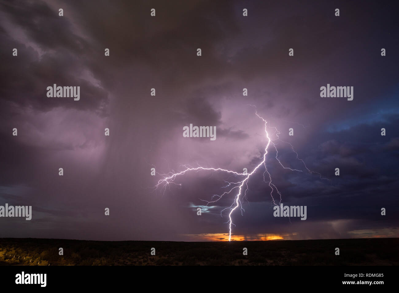 Blitz und einen regen Welle aus einem Gewitter nach Sonnenuntergang in Santa Teresa New Mexico Stockfoto