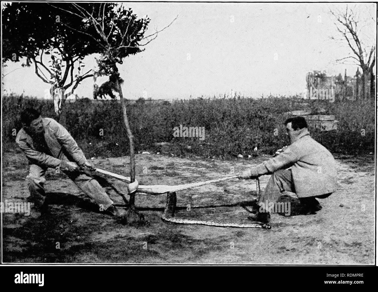 . In der Wildnis von Südamerika; sechs Jahre der Erforschung in Kolumbien, Venezuela, Guyana, Peru, Bolivien, Argentinien, Paraguay und Brasilien. Natural History. Enthäuten einer Boa.. Bitte beachten Sie, dass diese Bilder sind von der gescannten Seite Bilder, die digital für die Lesbarkeit verbessert haben mögen - Färbung und Aussehen dieser Abbildungen können nicht perfekt dem Original ähneln. extrahiert. Miller, Leo (Leo Edward), 1887-1952; Fuertes, Louis Agassiz, 1874-1927. krank; Museum der Amerikanischen Indianer, Heye Stiftung. Fmo; Huntington freie Bibliothek. Fmo. New York, C. Scribner's Söhne Stockfoto