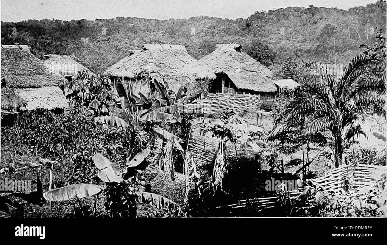 Bolivia 1952 Fotos und Bildmaterial in hoher Auflösung Alamy