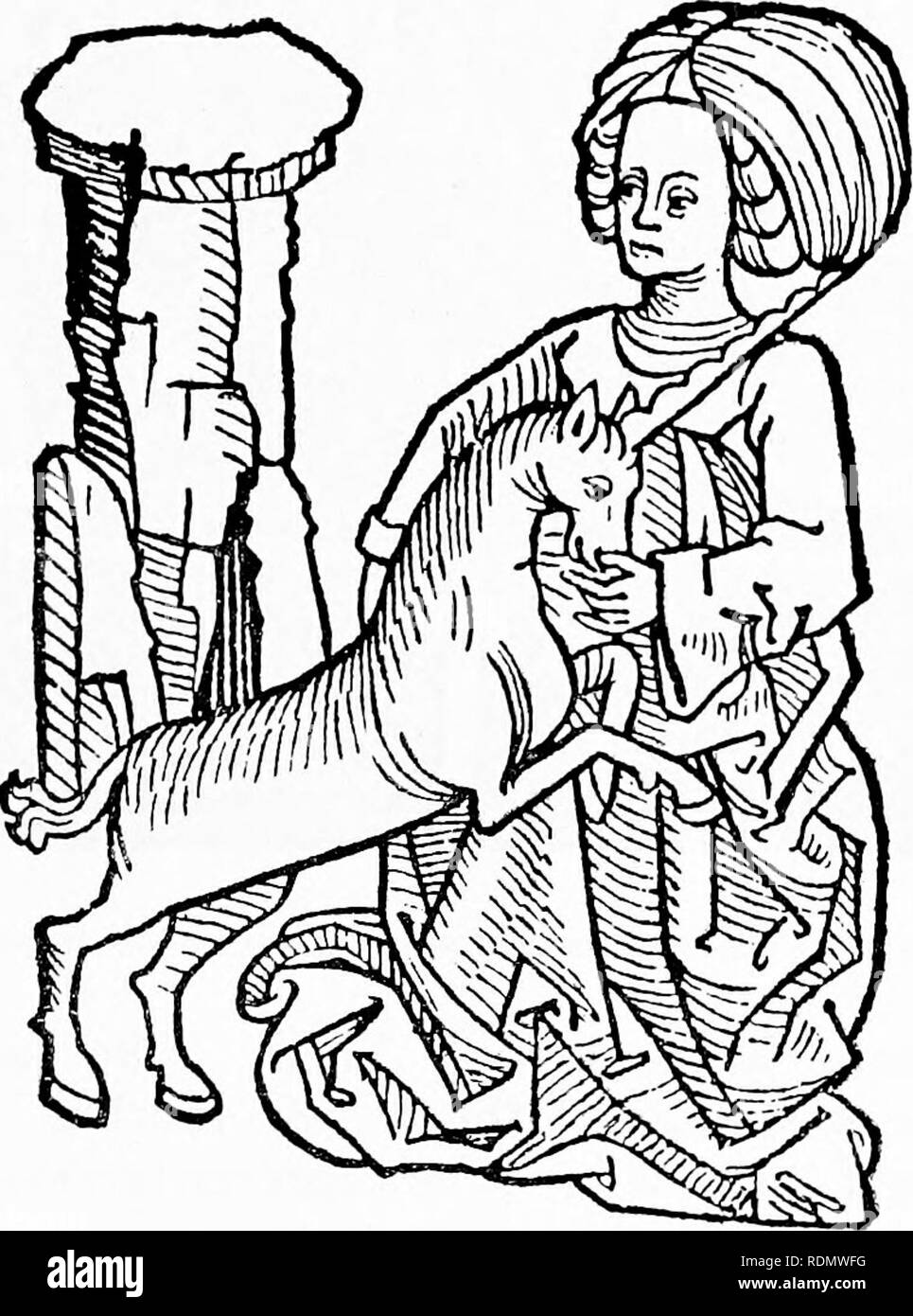 . Kräuter, ihren Ursprung und Evolution, ein Kapitel in der Geschichte der Botanik, 1470-1670. Botanik; Botanik; Herbals. II] "Le Jardin De Santi '33, gedruckt von Antoine Vdrard in Paris um das Jahr 1500, unter dem Titel, "ortus sanitatis Translate de Latin en Francois." Henry VII. war einer von Verard der Gönner, und im Account Bücher von John Heron, Schatzmeister der Kammer, die in der Record Office erhalten sind, gibt es einen Eintrag (1501-2), "Los zu Anthony. Text-Bild. 17. "Unicornus" [Ortus Sanitatis, Mainz, 1491]. V^rard für zwei bokes nannte die gardyn der helth...^ 6.& Stockfoto