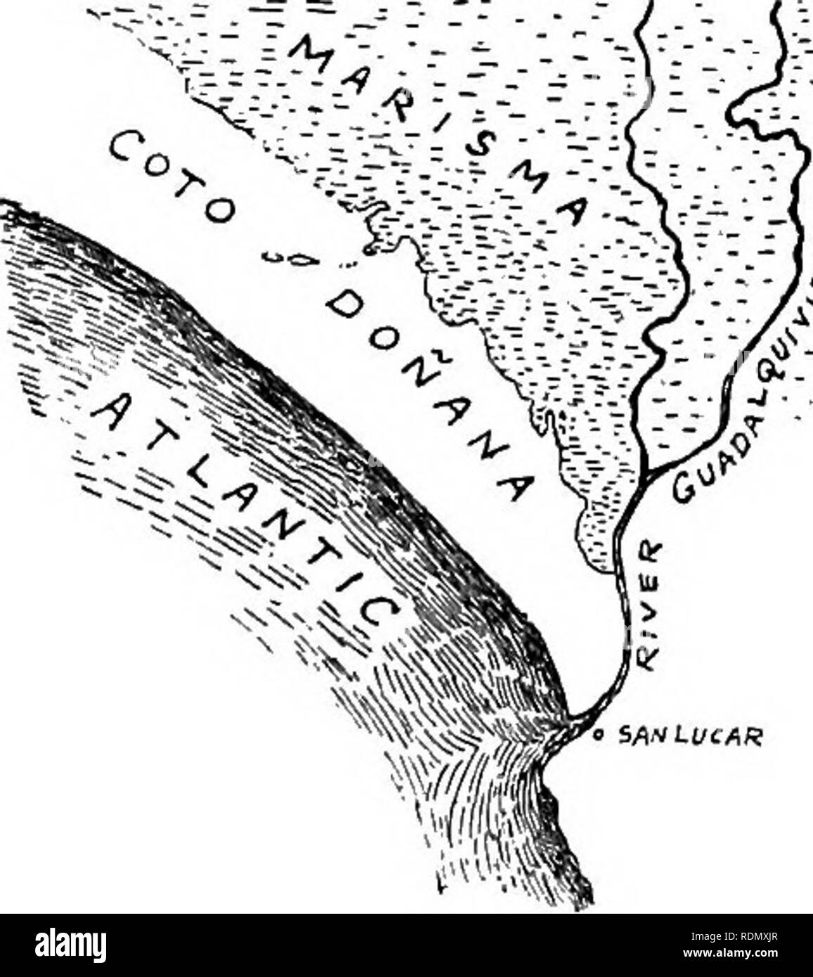 . Unerforscht Spanien. Jagd; Natural History. Kapitel IV. Die GOTO DONANA NOTIZEN ÜBER SEINE PHYSIKALISCHEN BILDUNG, Fauna, UND ROTWILD V Der große Fluss Guadalquivir, divid-:;. ing in seiner schrägen Kurs seewärts V; in Doppelzimmer mit Tv und schließlich ausweichen, als wenn nur ungern alle Identität in die unendliche Atlantik zu verlieren, praktisch schneidet vom spanischen Festland eine dreieckige Region, etwa 40 Meilen von Abfällen und Wildnis, eine isolierte Wüste, singular, da es wunderschön ist, die wir nun versuchen zu beschreiben. Dieses, von der wir seit vielen Jahren die Rechte der Chase gehalten, können wir zumindest Verfahrensaspekt Stockfoto