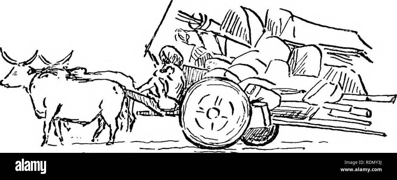 article thumbnail