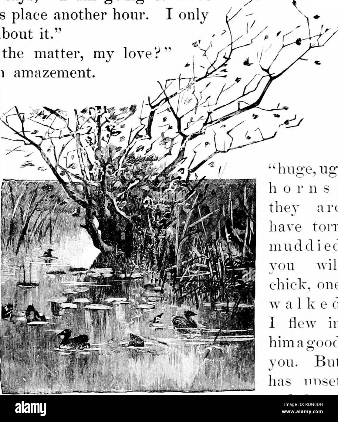 . Vier Füße, zwei Füße, und keine Füße; oder, pelzigen und gefiederten Haustiere, und wie Sie leben. Das Verhalten der Tiere. SAILOR BABYS. 243^^ Sorten gute Sachen zu Essen, - Würmer zum Abendessen, minnows für Abendessen und Frühstück die heikelsten und appetitlich von Fliegen und Käfer. Eines Tages, als er bringt Abendessen seiner Frau (eine feine stickle-zurück), findet er sie in einem Zustand der große Aufregung. "Mein Lieber", sagt sie, "ich werde zu bewegen. Ich kann diesen Ort nicht eine Stunde ertragen. Ich onl wartete sie über es zu sagen." "Warum, Was ist los, meine Liebe":"", fragt Herr G-Rebe, in Erstaunen. "Einige Stockfoto