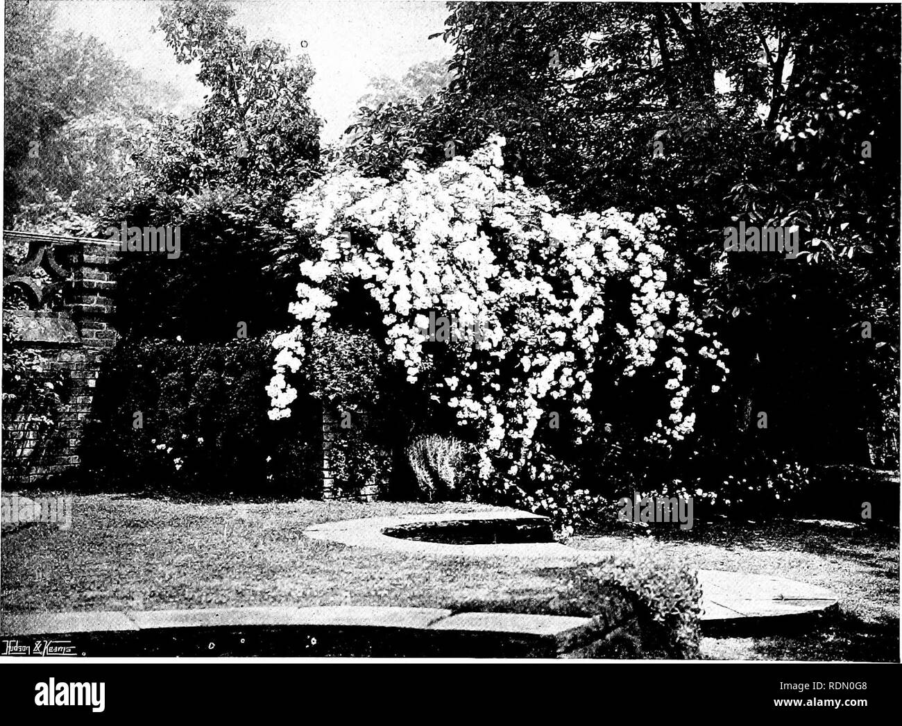 . Gärten für kleine Häuser auf dem Land. Gärten. Gärten für kleine Häuser auf dem Land. 17 KAPITEL III - EINEN GARTEN IN BERKSHIRE. Rosen gewachsen, wie "Brunnen - Ziegel Trocken - Abschottung scharfkantigen Stein Wasser Garten ^ - raffinierte Details und Verzierungen. Am Rande des Dorfes, eine hohe Mauer, mit Massi' e Strebepfeiler und Bewältigungsstrategien aus Schmiedeeisen, umschließt einen schönen neuen Haus von mittlerer Größe, entworfen von Herrn Lutyens, und ein Stück Boden von etwas unter 3 Hektar. Das Land, wenn es in die Hand genommen, alte Garten und Obstgarten, mit einer starken Westwinden Neigung; der Boden eine reiche Lehm aus kalkhaltigen Charakter. Die untere Pa Stockfoto