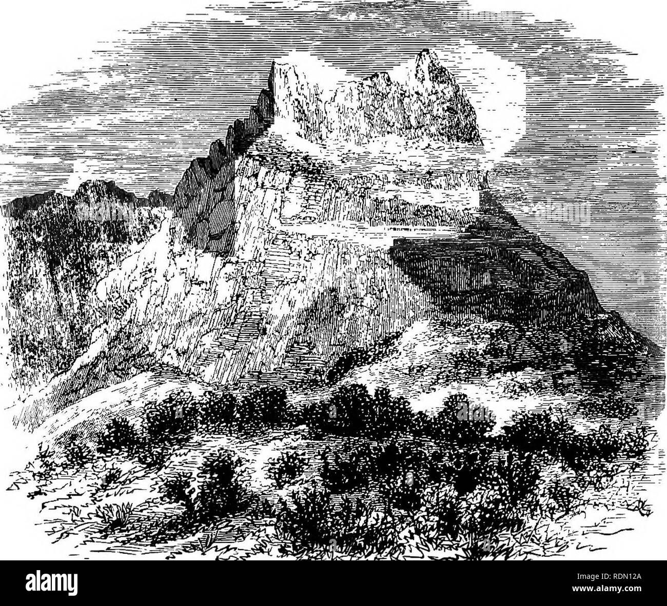 . Die Gärten der Sonne: oder ein Naturwissenschaftler Journal auf den Bergen und in den Wäldern und Sümpfen von Borneo und dem Sulu-archipel. Botanik; Botanik; Vögel; Vögel. 298 Die Gärten der Sonne [Kap. xiv. - War ein schöner junger Kerl namens "Sallia", ein Verwandter von armen alten Musa, und von ihm habe ich gehört, daß Herr Schönen - Mensch, der durch Herrn Dohree, Ceylon Kaffeebauer, folgenden begleitet wurden, und dass ihre Objekt wurde auf pro-ceed zu "Kina Balu" auf der Suche nach Land geeignet für Kaffee. KINA BALIT aus GHINAMBATJE (EVEHINO). Kultur. Ein paar Minuten später trafen wir uns Ihnen und hatte lun-che Stockfoto