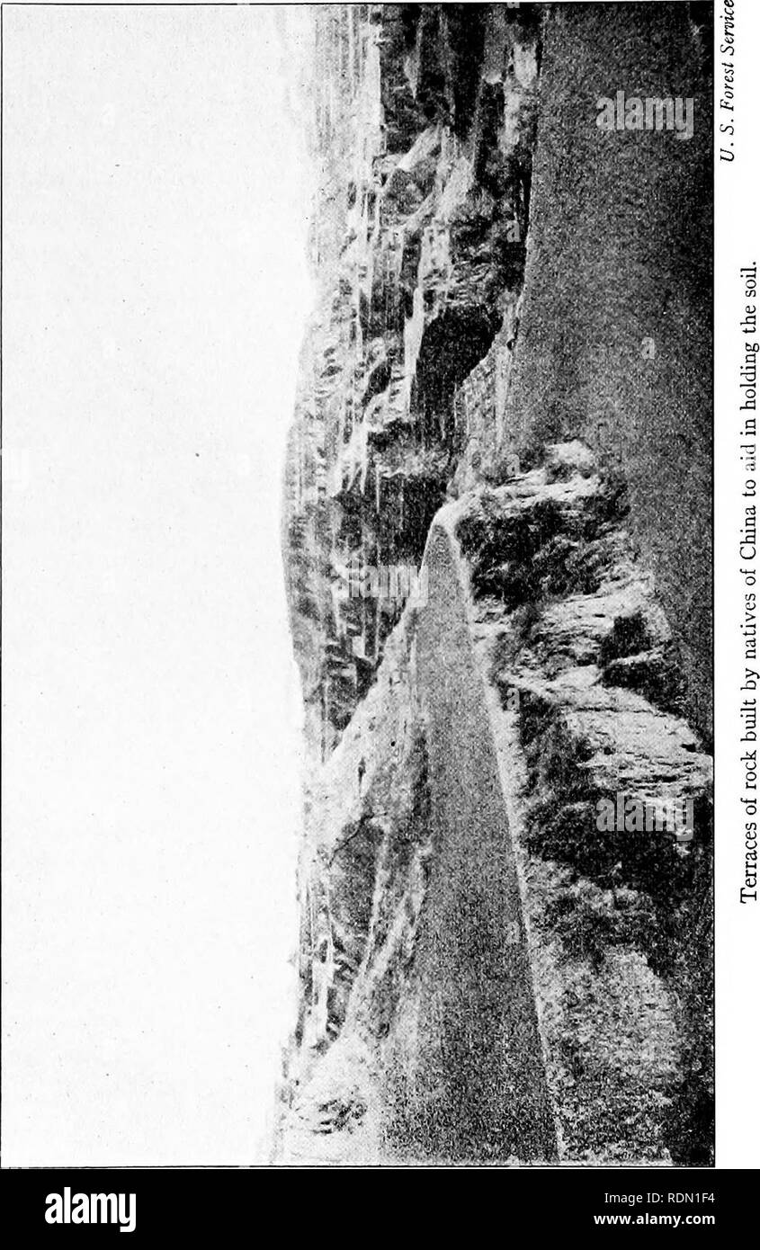 . Erhaltung reader. Natürliche Ressourcen, die Wälder und die Forstwirtschaft. 78 Erhaltung Reader. Bitte beachten Sie, dass diese Bilder sind von der gescannten Seite Bilder, die digital für die Lesbarkeit verbessert haben mögen - Färbung und Aussehen dieser Abbildungen können nicht perfekt dem Original ähneln. extrahiert. Fairbanks, Harold Wellman, 1860 -. Yonkers-on-Hudson, N.Y., World Book Company Stockfoto