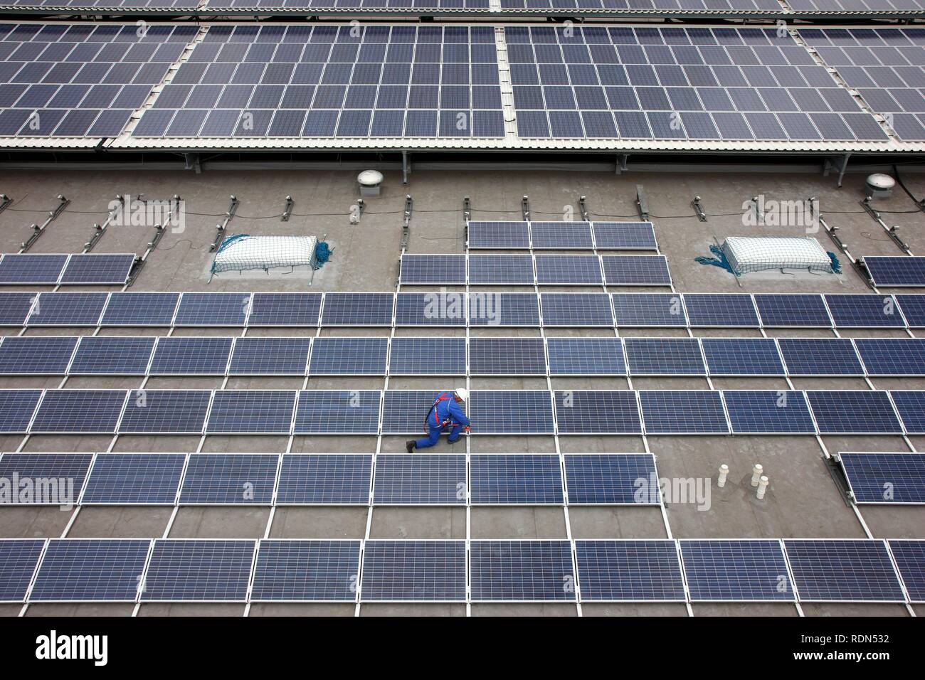 Bau einer großen Photovoltaikanlage auf mehreren Dächern, 16000 Quadratmeter, Gelsenkirchen, Nordrhein-Westfalen Stockfoto