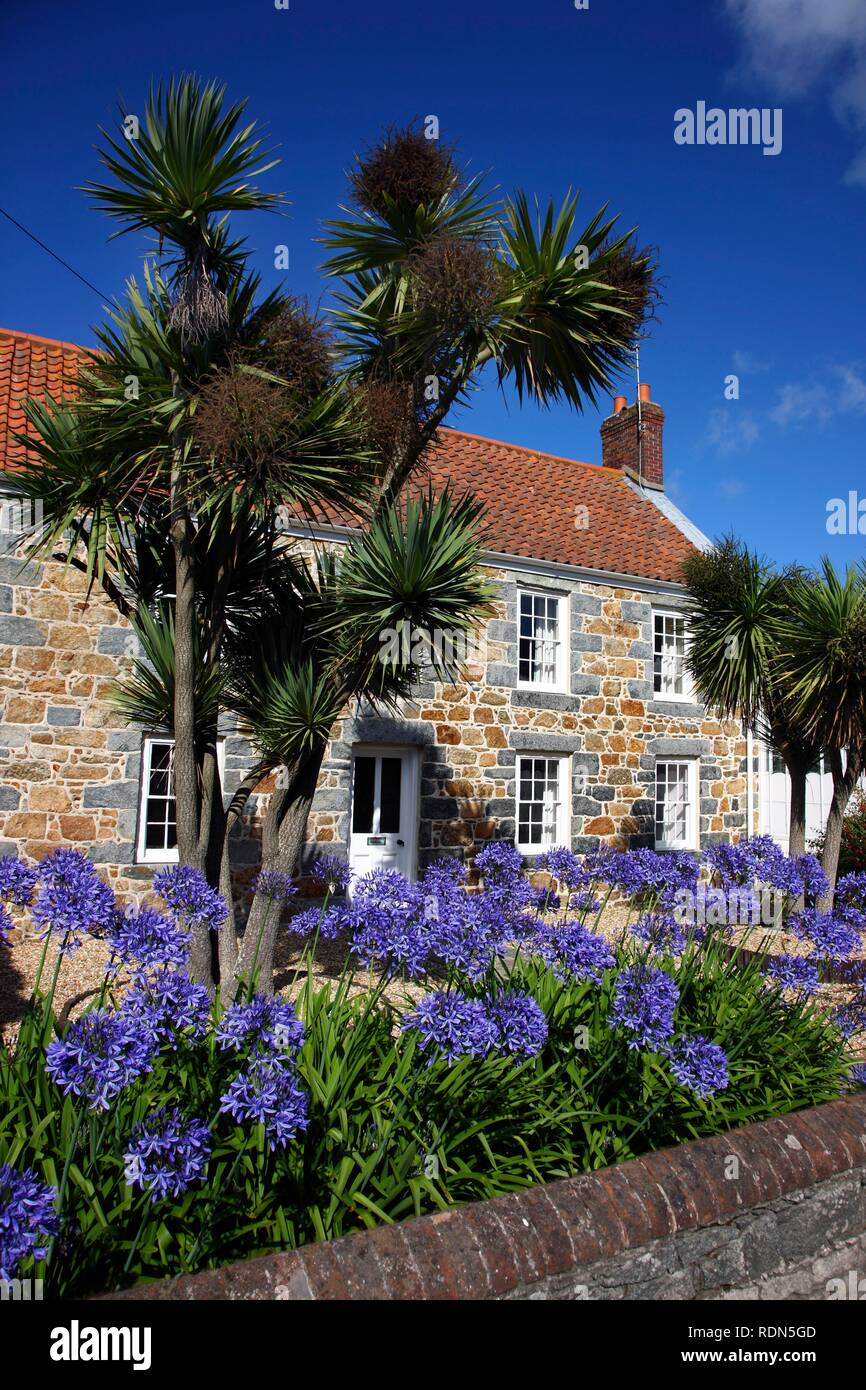 Typische Guernsey Haus aus massivem Stein und Granit, mit vielen Blumen und Pflanzen, Guernsey, Kanalinseln, Europa Stockfoto
