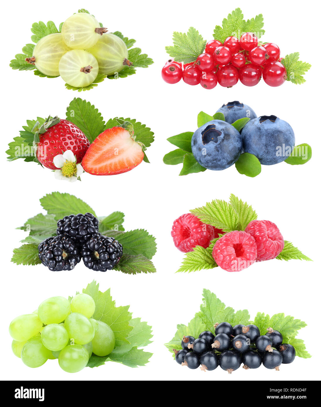 Beeren Sammlung Erdbeeren Heidelbeeren Trauben Beeren Früchte Obst auf weißem Hintergrund Stockfoto