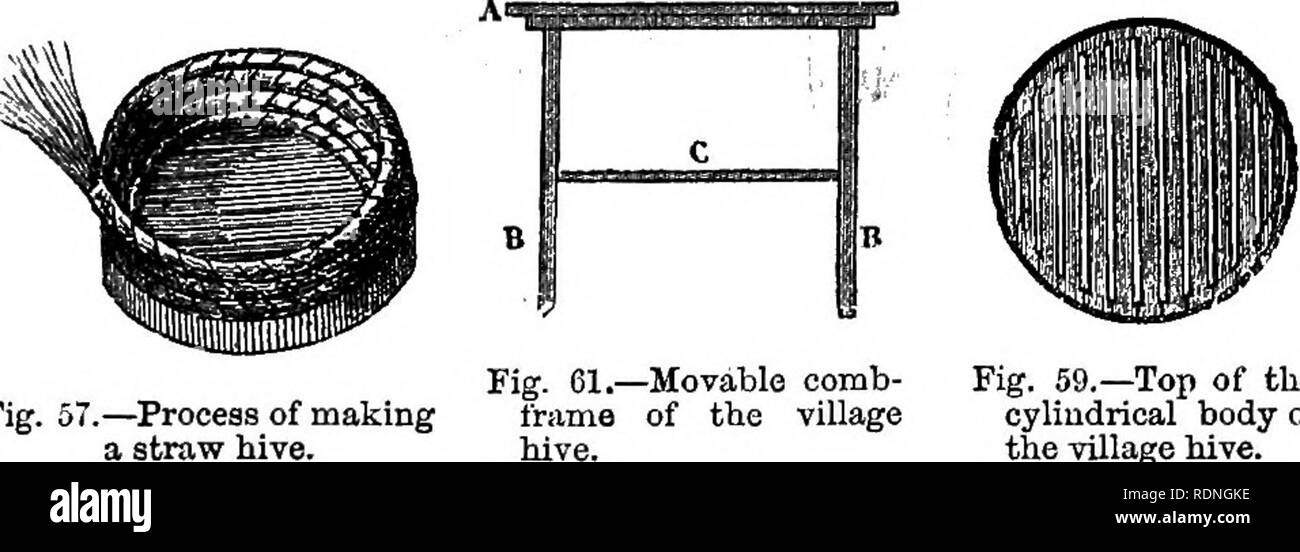 . Die Biene und weiße Ameisen, ihre Sitten und Gewohnheiten; mit Illustrationen von tierischen Instinkt und Intelligenz. Bienen; Instinkt; Termiten. Nesselsucht. S. 65, wo b b sind Türen, von denen eine verglast, und ein Rohr â aus Zinn oder Kautschuk, mit dem die Bienen haben und eindringen. 194. Nesselsucht aus unterschiedlichen Materialien gebaut wurden, wie Stroh, Korbweiden, Binsen, Seggen, Holz und Steingut; und noch mehr verschiedene Formen, einige sind Glockenförmig oder konische, zylindrische, • einige Platz in ihrem Abschnitt, einige mit rechteckigen und einige mit schrägen Tops, wird intern durch eomb-Frames fix aufgeteilt Stockfoto