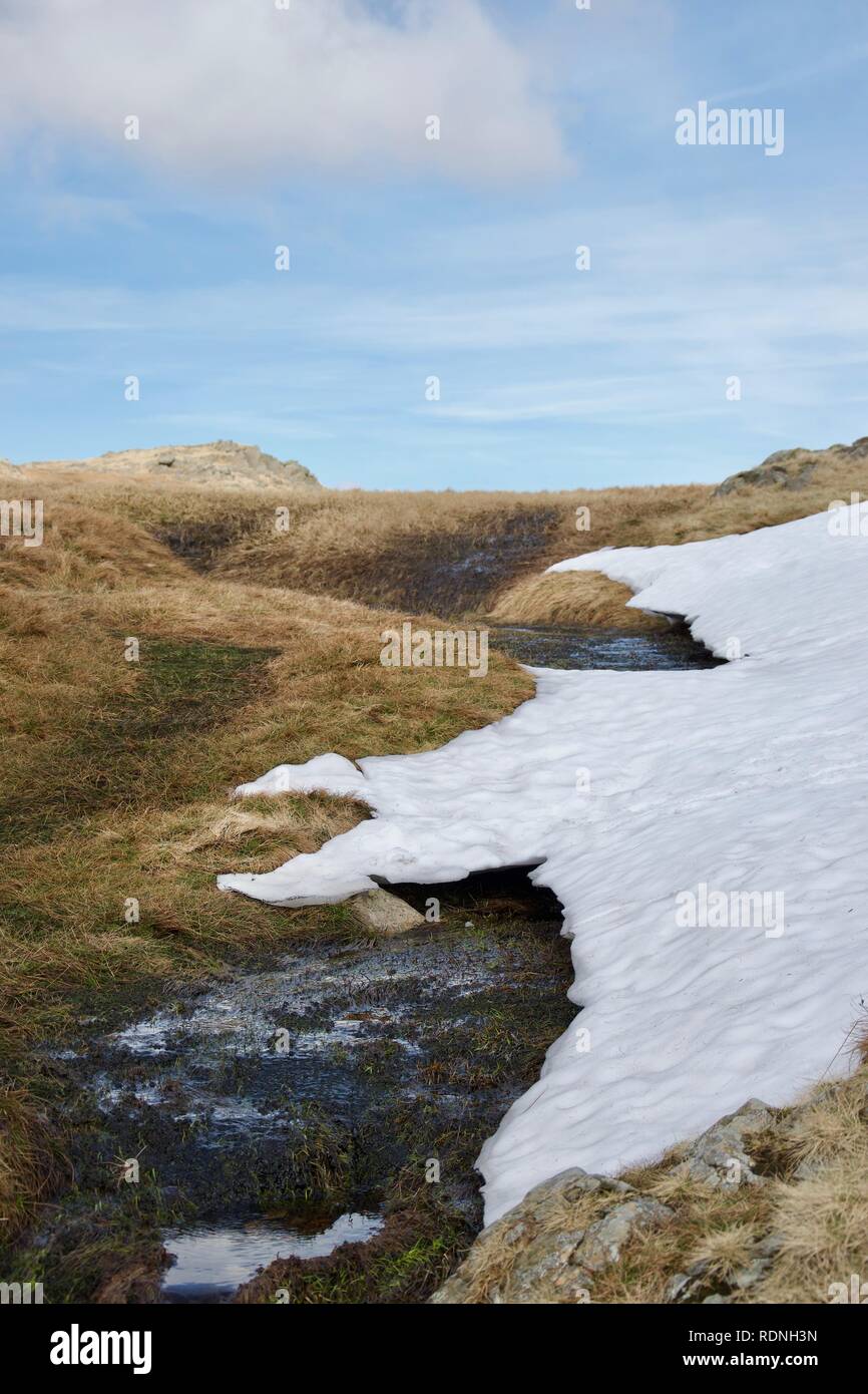 Eine Snow Drift neben einem sumpfigen, sumpfigen Stream, der Durchzug durch das Gras Moor auf einem Berg im englischen Lake District (Cumbria, UK) Stockfoto