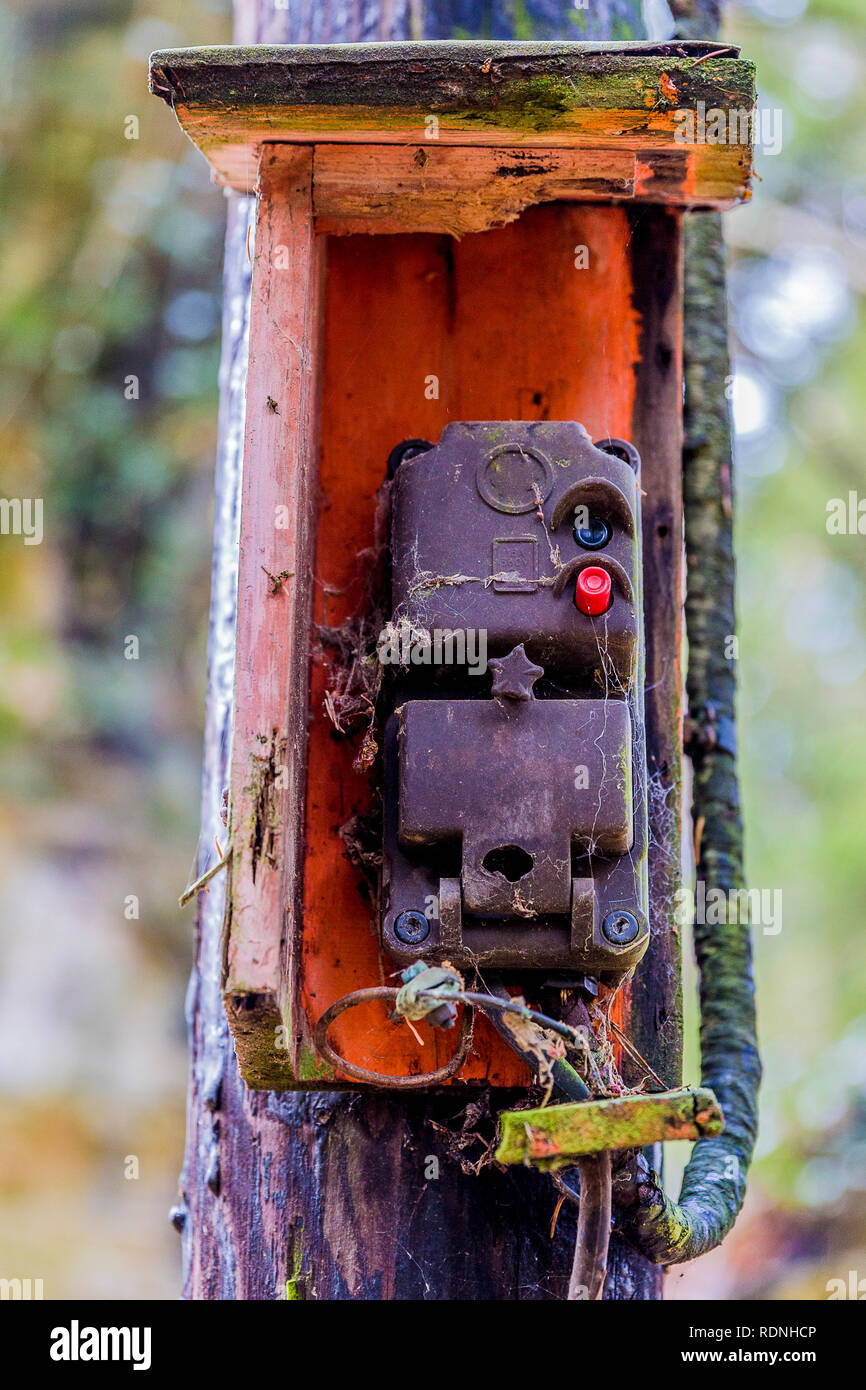 Bild eines alten dirty Control Box mit Spinnweben an eine hölzerne Stange in das Holz mit einem unscharfen Hintergrund in den Belgischen Ardennen Stockfoto