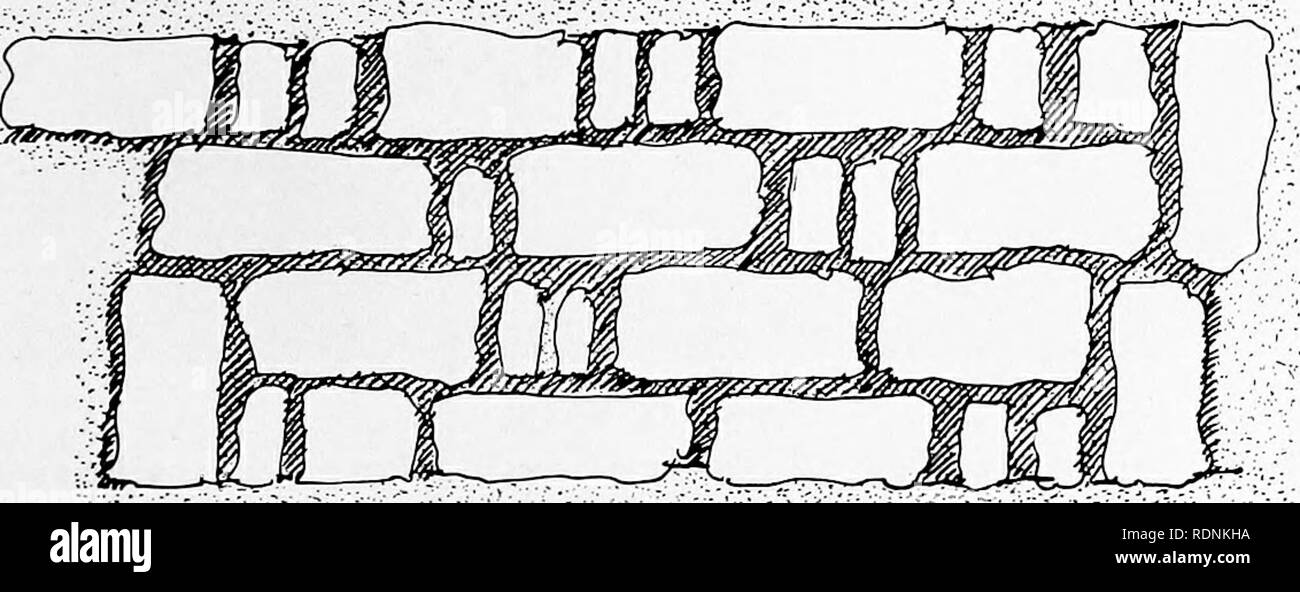 . Praktische Gartengestaltung: die Bedeutung der sorgfältigen Planung, Position, Anordnung von Wanderungen und Fahrten, Bau von Wanderungen und Fahrten, Rasen und Terrassen, wie eine Eigenschaft zu Pflanzen, die Verlegung eines blühenden Gartens, architektonische Merkmale der Garten, Rosengarten und Hardy Grenzen, wilde Gärten und Rock gardens, Pflanzen, Pläne und Listen. Gartenbau. Abb. 44. - Gehen Sie gebrochene Steinplatten mit breiten Mörtelfugen gelegt. - siehe Seite 49 ZIEGEL SPAZIERGÄNGE der Backstein, ordnungsgemäß verlegt, ist angenehm für die Augen und macht einen guten Kontrast zu den Rasen. Es Sich nicht gut Stockfoto