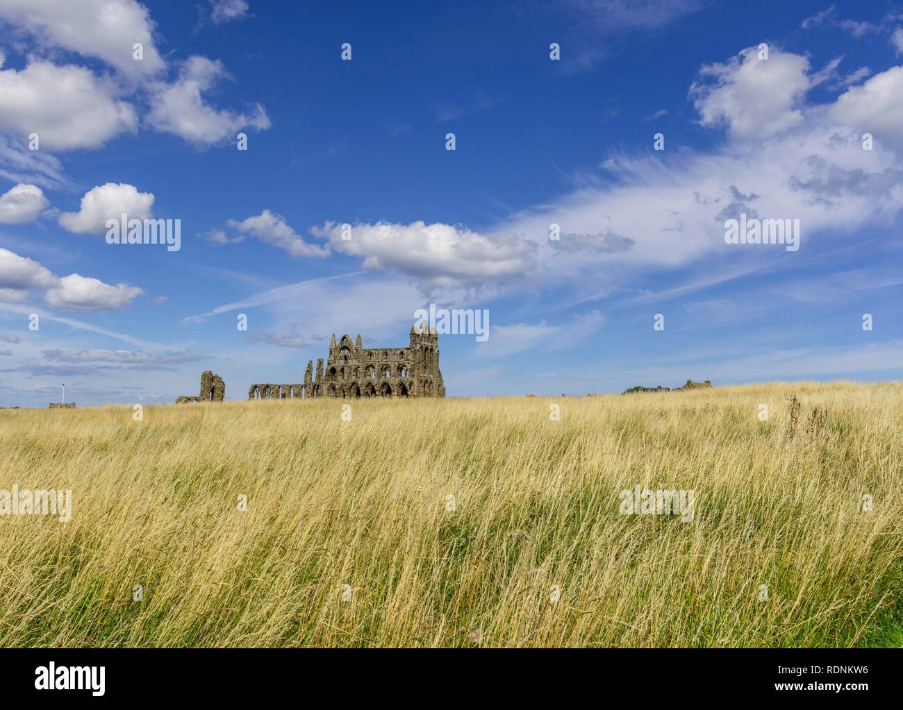 Ruine der Abtei von Whitby, England, Vereinigtes Königreich Stockfoto