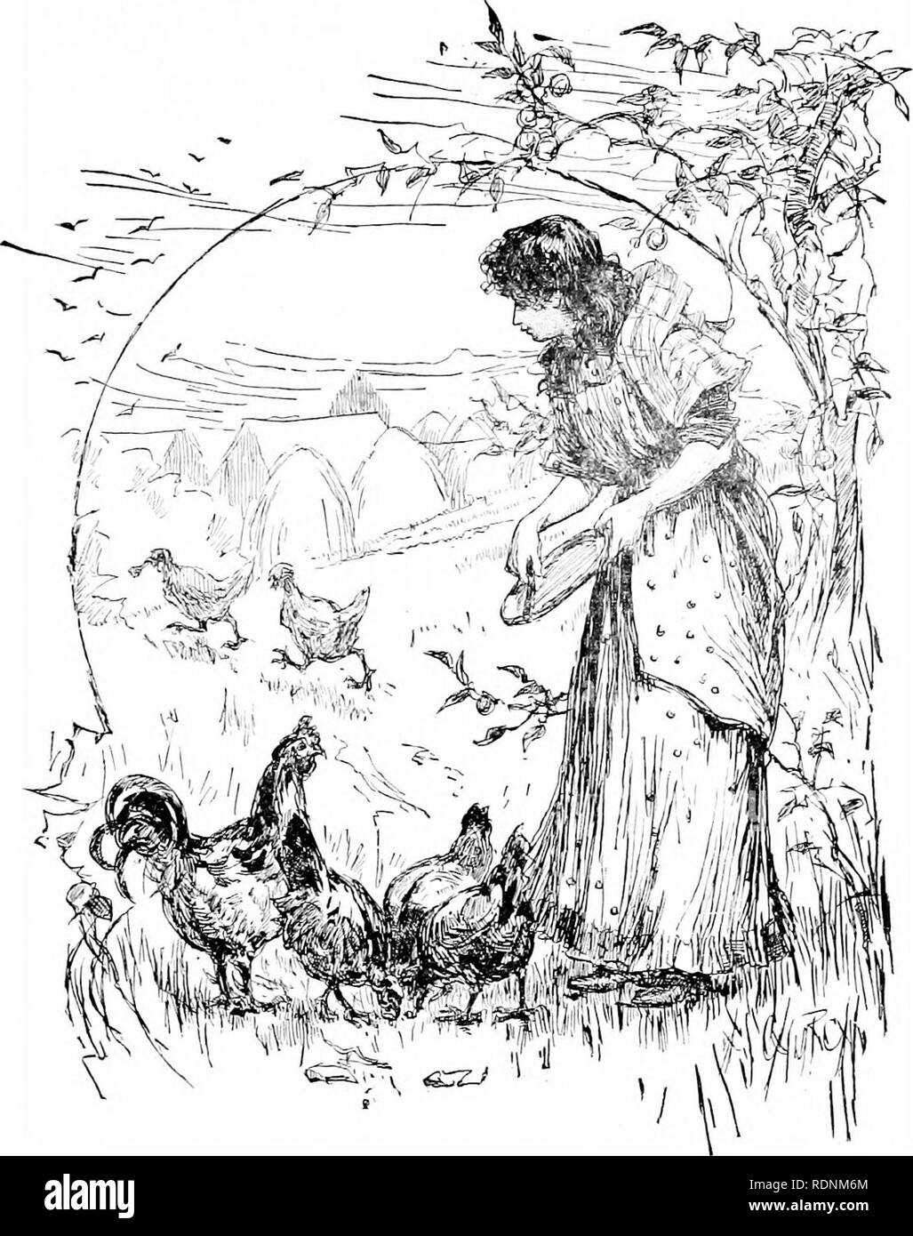 . Vier Füße, zwei Füße, und keine Füße; oder, pelzigen und gefiederten Haustiere, und wie Sie leben. Das Verhalten der Tiere. Die gierigen Hennen. Ein Tag, an dem ich einen großen Teller mit Fleisch gehackt und nahm es heraus meine Hühner zu füttern.. Dort kam es zu einem Stück werden viel größer als die anderen, einen Knochen, so konnte ich es nicht geschnitten. Als ich das Fleisch vor meiner Hennen eine gierige man dieses große Stück gefangen und ich - ein Weg mit ihr. Eine andere Henne wollte das gleiche Stück, und lief ihr nach, um zu sehen, wenn Sie es nicht für sich selbst erhalten könnte. Während sie jagen sich gegenseitig rund um den Hof, die versuchen, die Knochen, die zu groß war, swa zu essen Stockfoto