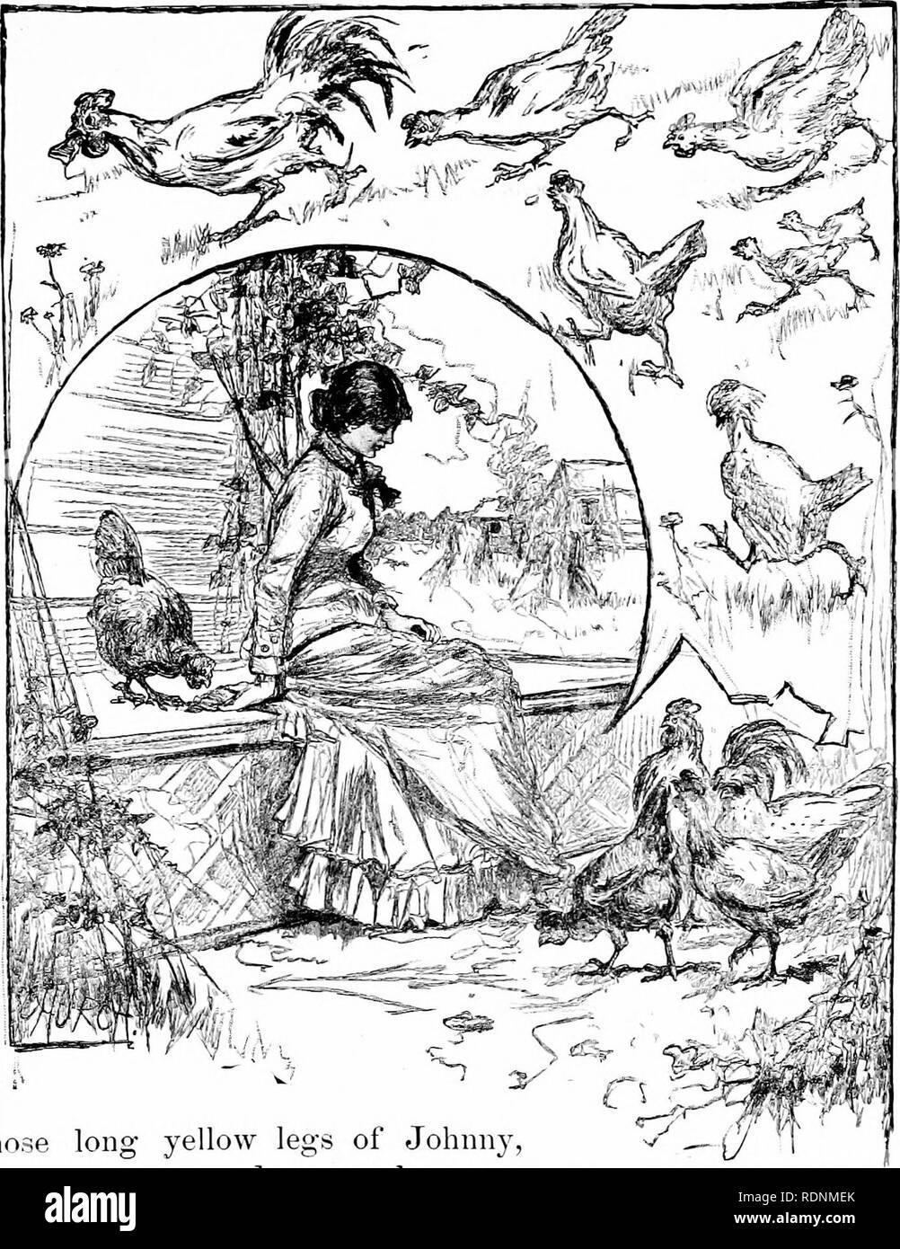 . Vier Füße, zwei Füße, und keine Füße; oder, pelzigen und gefiederten Haustiere, und wie Sie leben. Das Verhalten der Tiere. Wer HAT DIE KRUSTE? 35. Die langen gelben Beine von Johnny, der Hahn, sind gefährlich nahe. Ah! Johnny hat sich überholt und schnappte die crubt aus ihrem Gesetzentwurf. Er geht in seinem tnrn, und weg gehen, Miss Brown, Speckle, Cluckety, Haarschopf, und der Rest, nach ihm. Seel sehen! Speckle macht einen Kuss an ihm; er hat es, und jetzt die Jagd nach ihm. Durch den Hof, rund um das Haus, in das hen-house. Bitte beachten Sie, dass diese Bilder aus gescannten Seite Bilder, die digital e wurden extrahiert werden Stockfoto