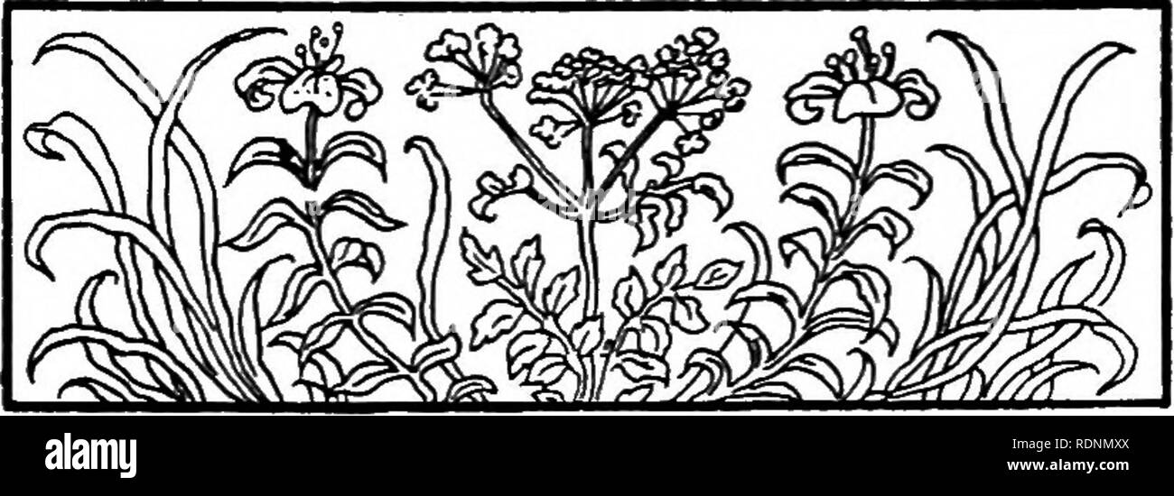 . Neue Wege in der alten Art und Weise, in der Beziehung zu bestimmten einfacher Leute von der Straße und die Felder wieder hergestellt ist. Natural History. IV Heu und Wiese Lerchen irgendwo in der Ferne ich ein Geräusch, das mich zu dieser Laufwerke - Mähen - Zerspanung seinen Weg durch die hohen hören, winken, Reifung, Gras, und ich kann nicht mehr der Versuchung, darüber zu sprechen, als ein Schwein widerstehen kann helfen, Kriechen durch eine praktische Loch unter einem Tor in einen Garten, in dem alle Weise der grüne Dinge lieber zu Gaumen wachsen Schweine. Sie können nicht in den Mäher oder Mähen interessiert sein. Sie können nicht hören etwas resembl Stockfoto