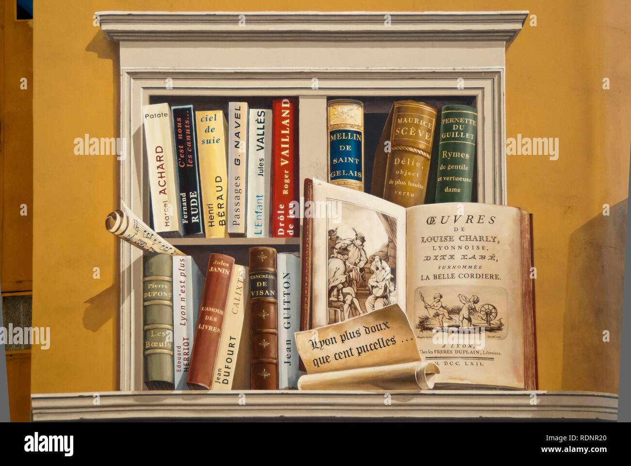 Bemalte Wände, Fresko des Lyonnais, La Fresque des Lyonnais, historischen Bezirk von Vieux Lyon, Frankreich, Europa Stockfoto