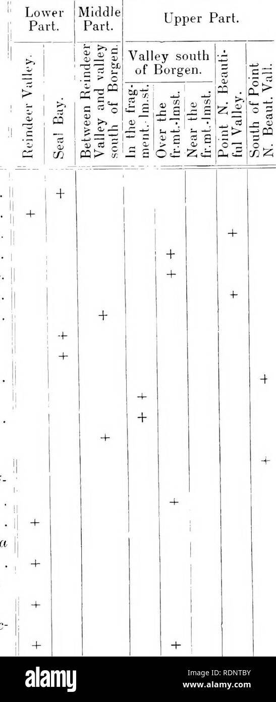 . Bericht des Zweiten norwegischen Arktis Expedition in die "Fram" 1898-1902... "Fram" Expedition. 1898-1902; Naturgeschichte; Meteorologie. 40 OLAF HOLTEDAHL. [Sec. ARCT. EXP. FRAM Schlussfolgerungen. Die Formulare aus der Serie B gekennzeichnet sind, tlie: untere Teil. Oberen Teil. Solenopora sp. ... Favosites vgl. helderbergiae Halle Favosites lampsacus E.&amp; H. var. eifelensis Nich Favosites sp. .... Paralleloporafavositiformis nov. gen. tVsp Glaclopora rectilineata Simps. . Tliecia swinderenana Goldf. . Sjjringopora sp... Stromatopora sp. Monograptus sp. . . . Fishdipora sp. . . . Stockfoto