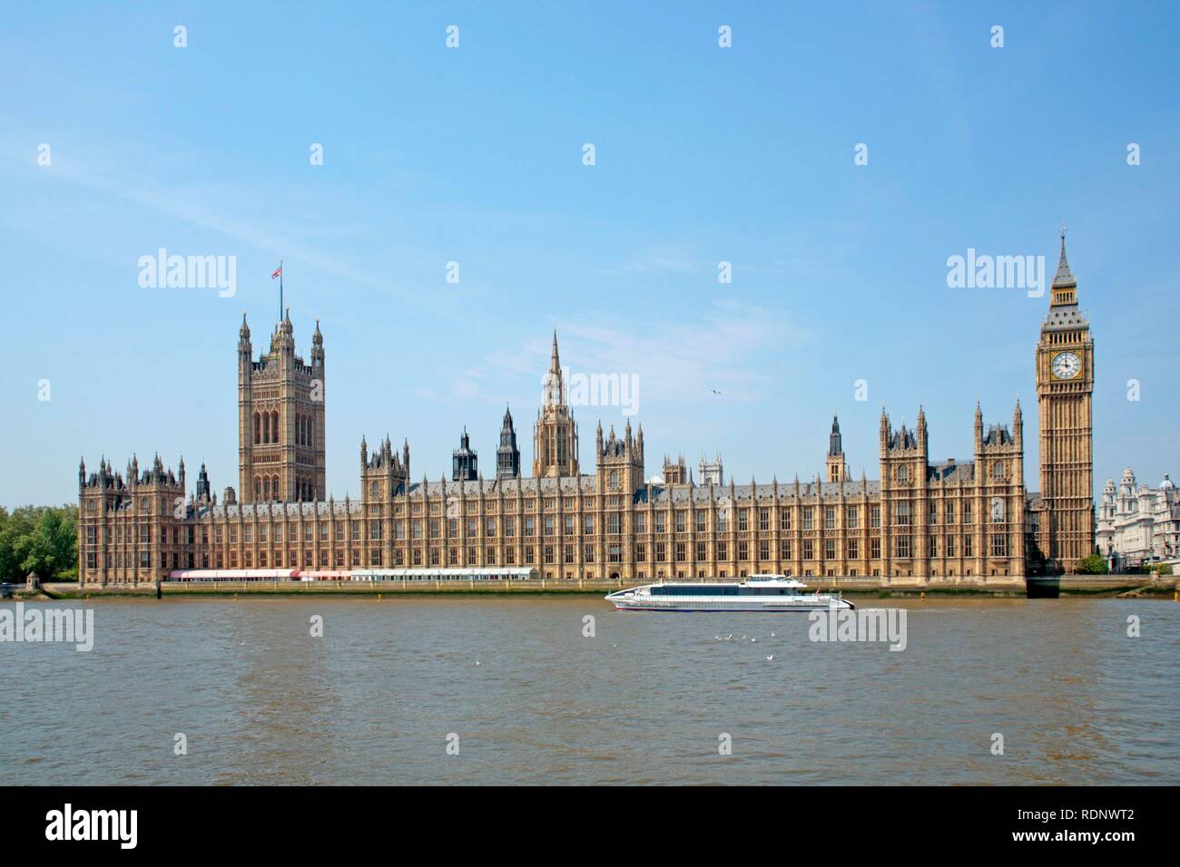 Big Ben und die Houses of Parliament, London, England, Grossbritannien, Europa Stockfoto