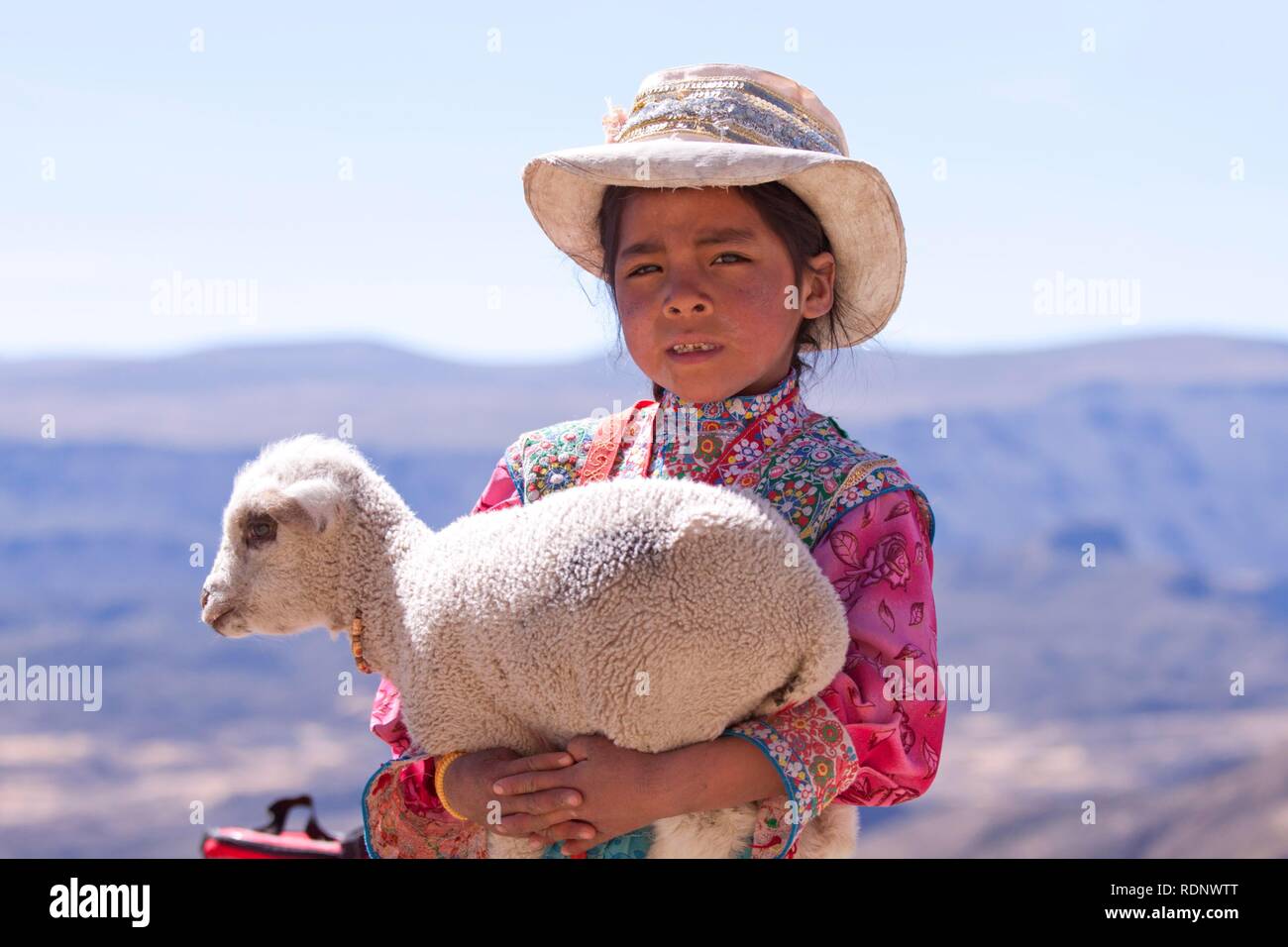 Mädchen mit Lamm, in der Nähe von Arequipa, Peru, Südamerika Stockfoto