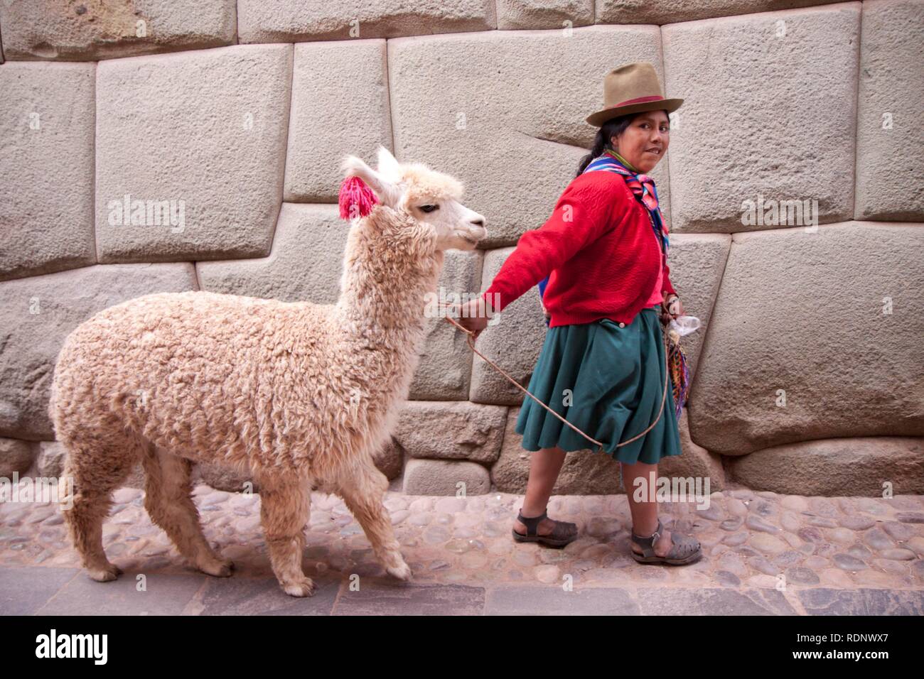 Lokale Frau mit einem Alpaka in der Calle Hatun Rumiyok, Cuzco, Cusco, Peru, Südamerika Stockfoto
