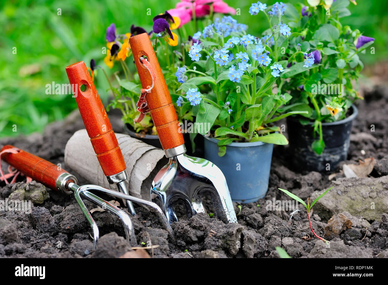 Im Garten arbeitende Werkzeuge und Frühling Blumen im Garten Stockfoto