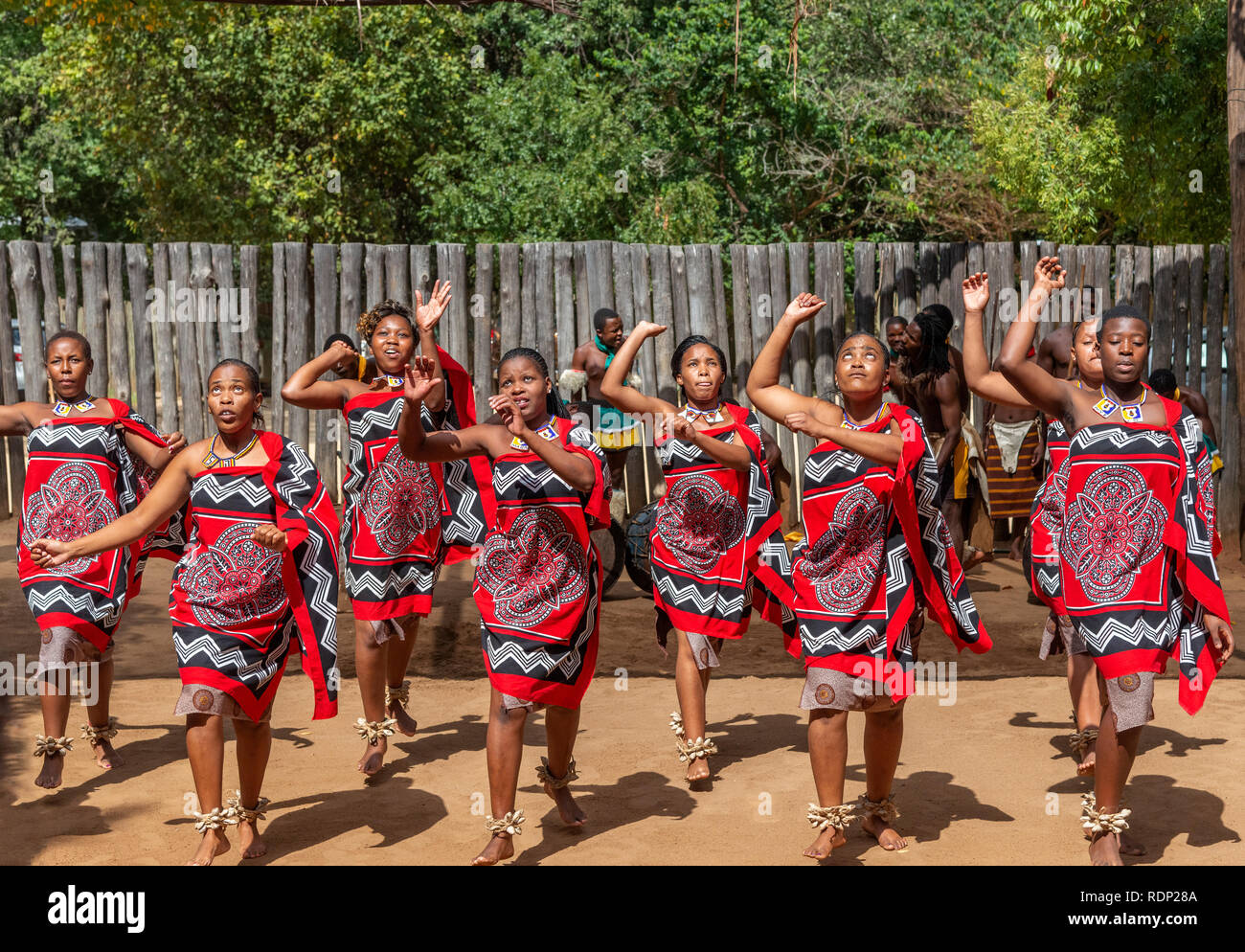 Traditionelle Swasidörfer tanzen Anzeige durch die Truppe an der Mantenga Cultural Village, Ezulwini Tal, eSwatini früher als Swasiland bekannt Stockfoto