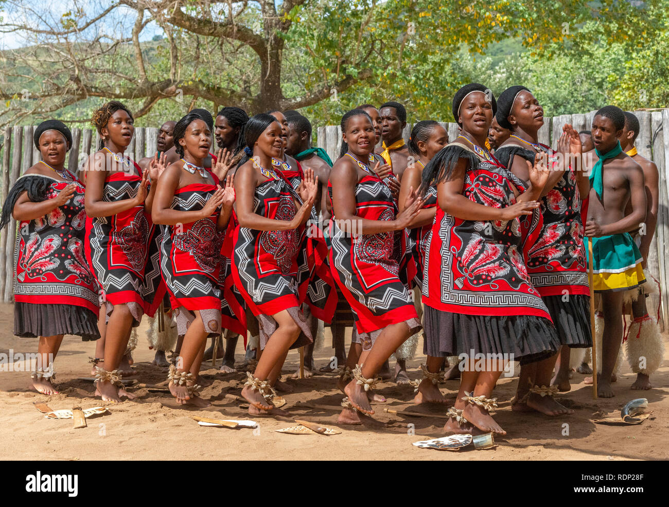 Traditionelle Swasidörfer tanzen Anzeige durch die Truppe an der Mantenga Cultural Village, Ezulwini Tal, eSwatini früher als Swasiland bekannt Stockfoto