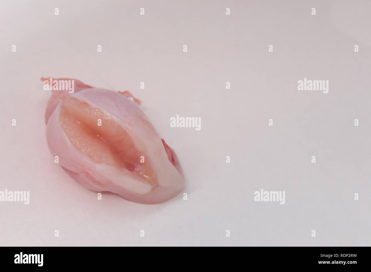 Hoden Stockfotos und bilder Kaufen Alamy