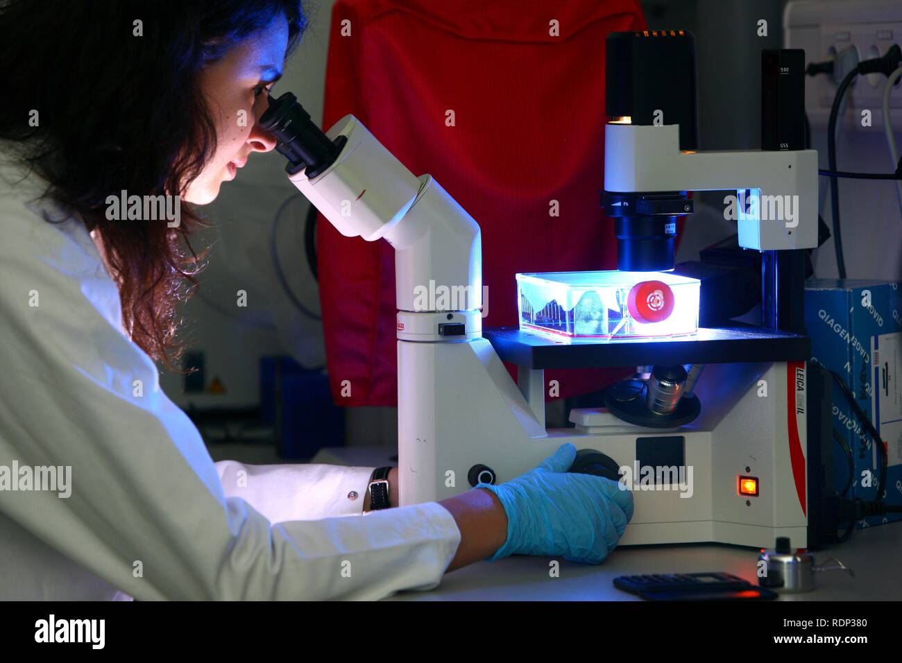 Zentrum für Medizinische Biotechnologie der Universität Duisburg, Nordrhein-Westfalen Stockfoto