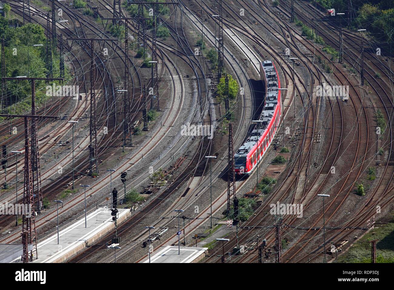 S-Bahn auf der Strecke, die Eisenbahn, das Netz neben dem Hauptbahnhof Essen, Essen, Nordrhein-Westfalen Stockfoto