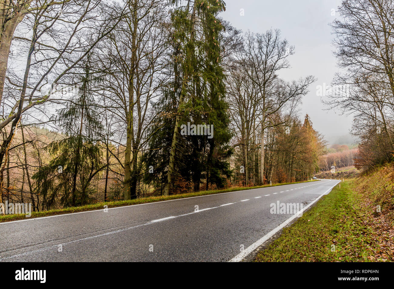 Schönes Bild eines leeren Wald Straße zwischen Bäumen an einem bewölkten Tag in den Belgischen Ardennen Stockfoto