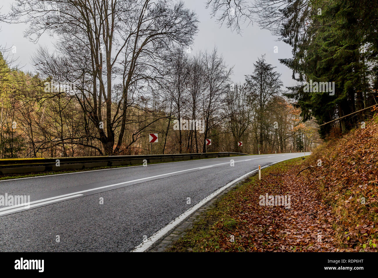 Schönes Bild eines leeren Wald Straße mit einer Kurve zwischen Bäumen mit gefährlichen Kurve signage an einem bewölkten Tag in den Belgischen Ardennen Stockfoto