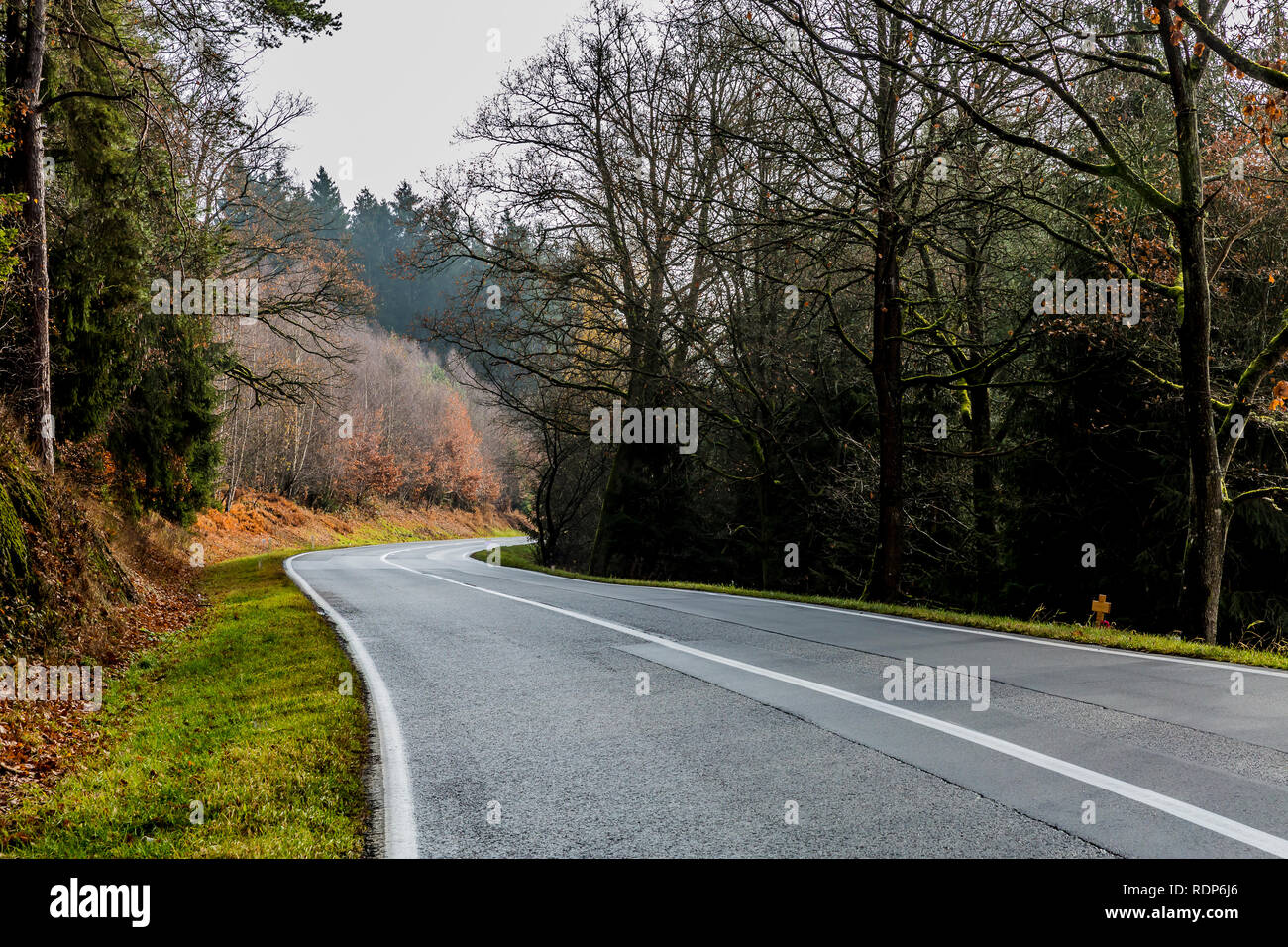 Schönes Bild eines leeren Wald Straße mit einer Kurve zwischen Bäumen an einem bewölkten Tag in den Belgischen Ardennen Stockfoto