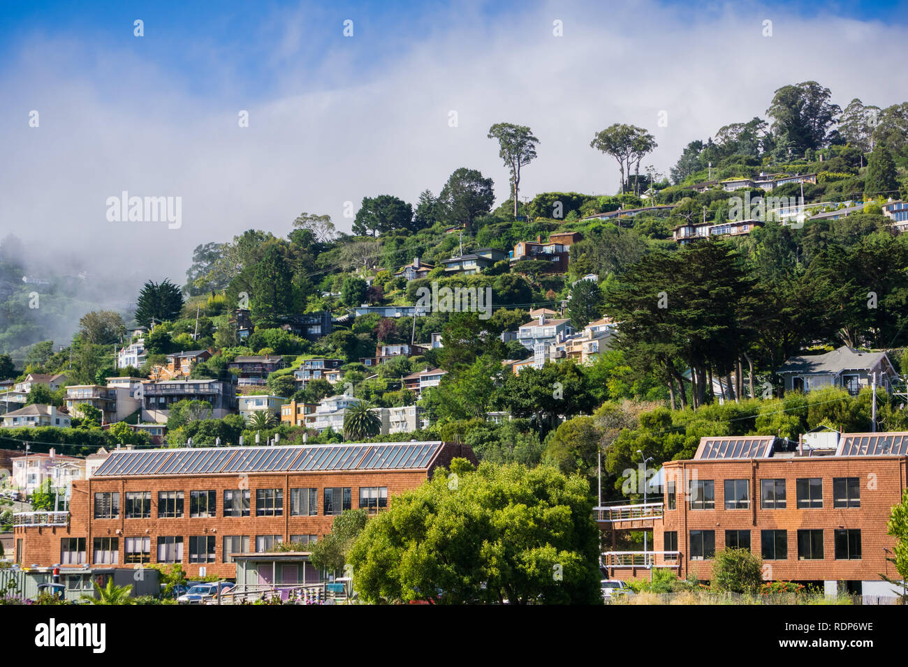 Häuser auf den Hügeln von Sausalito, nördlich der Bucht von San Francisco, Kalifornien Stockfoto