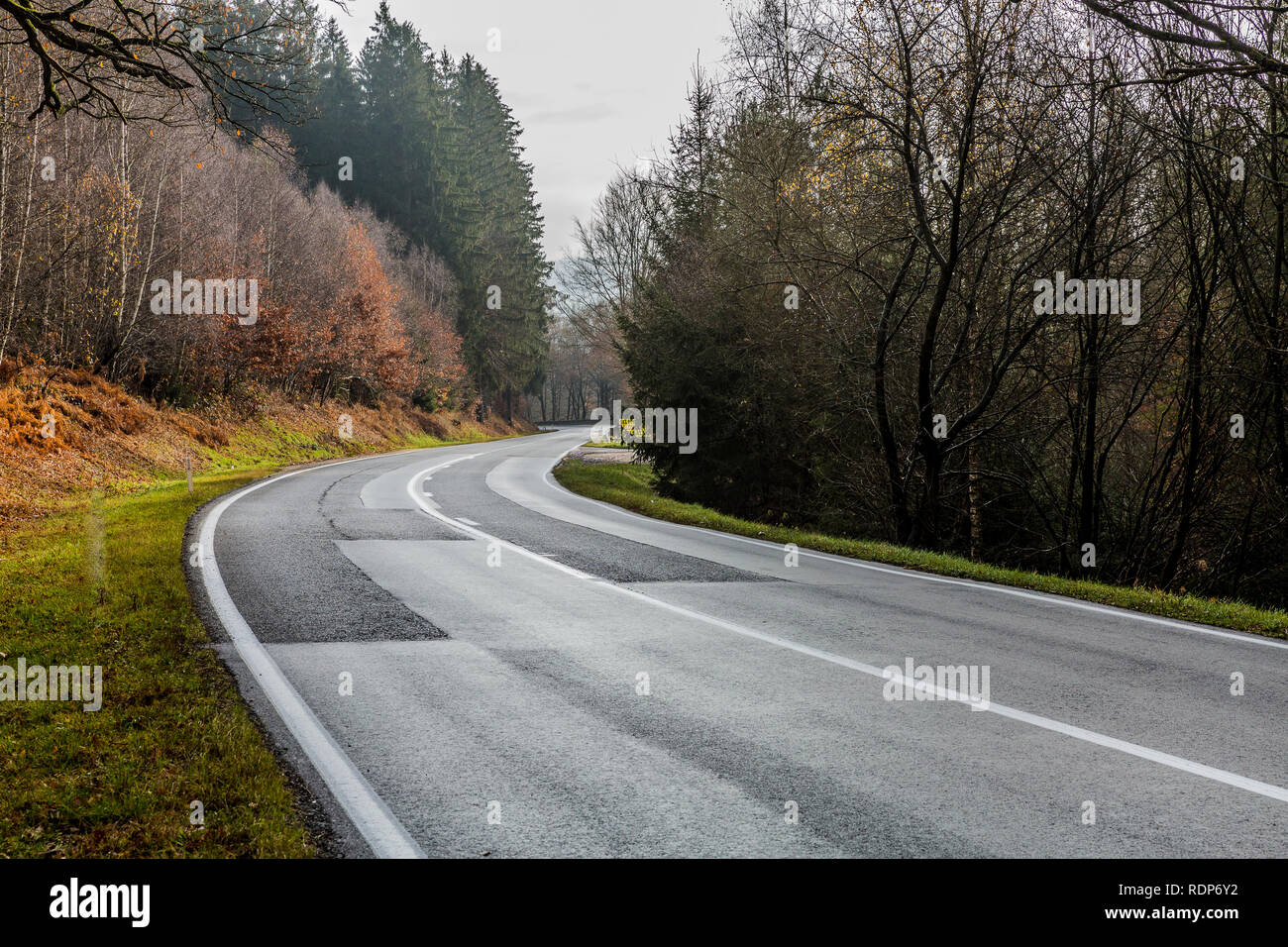 Schönes Bild von einer Kurve von einer Landstraße zwischen Wald Bäume auf einen wunderbaren Tag grau in den Belgischen Ardennen Stockfoto